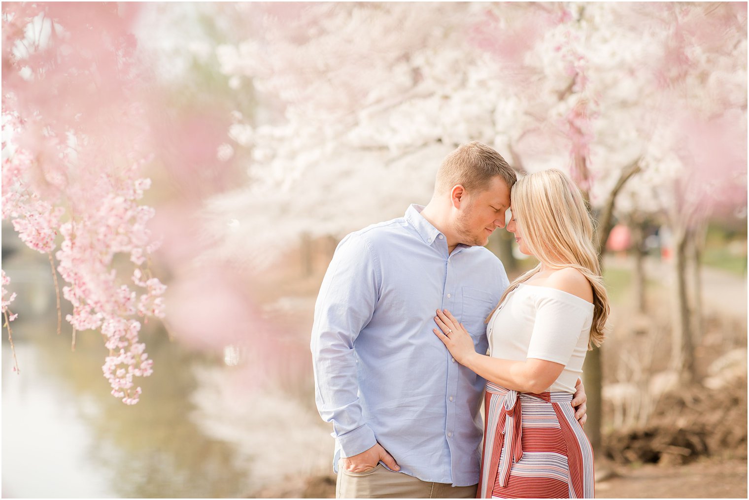 engaged couple poses under cherry blossom trees in the spring
