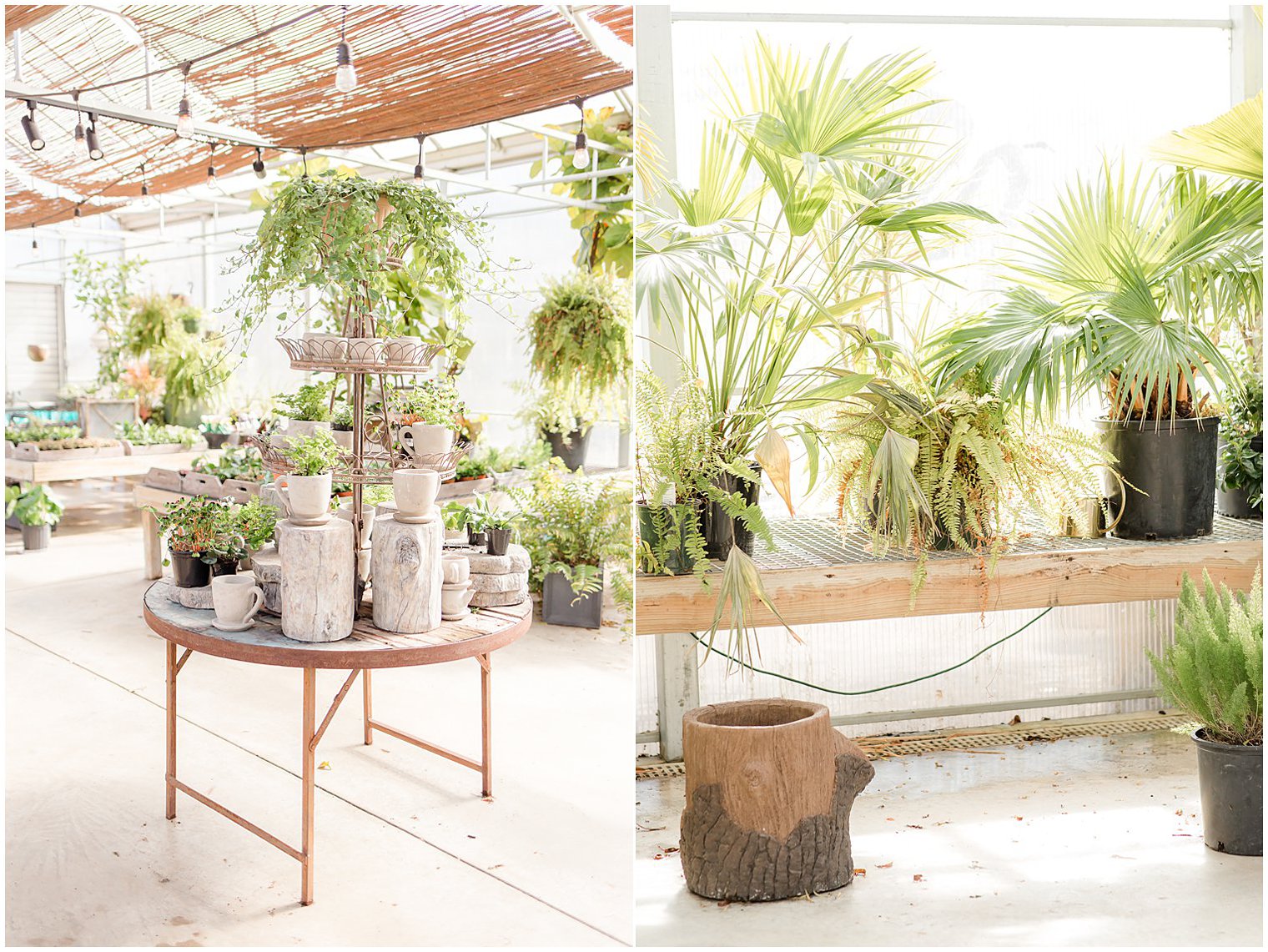 greenhouse details at Herbary at Bear Creek