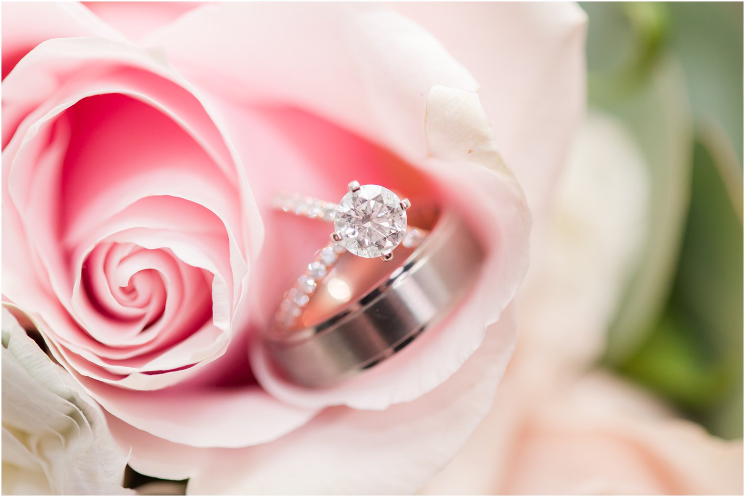 wedding rings rest in pink rose before Park Savoy Estate wedding 