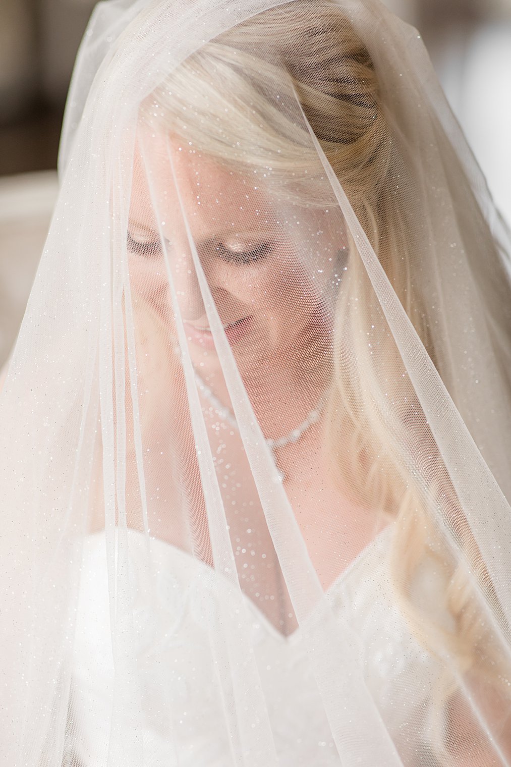 classic bridal portrait under veil with sparkles