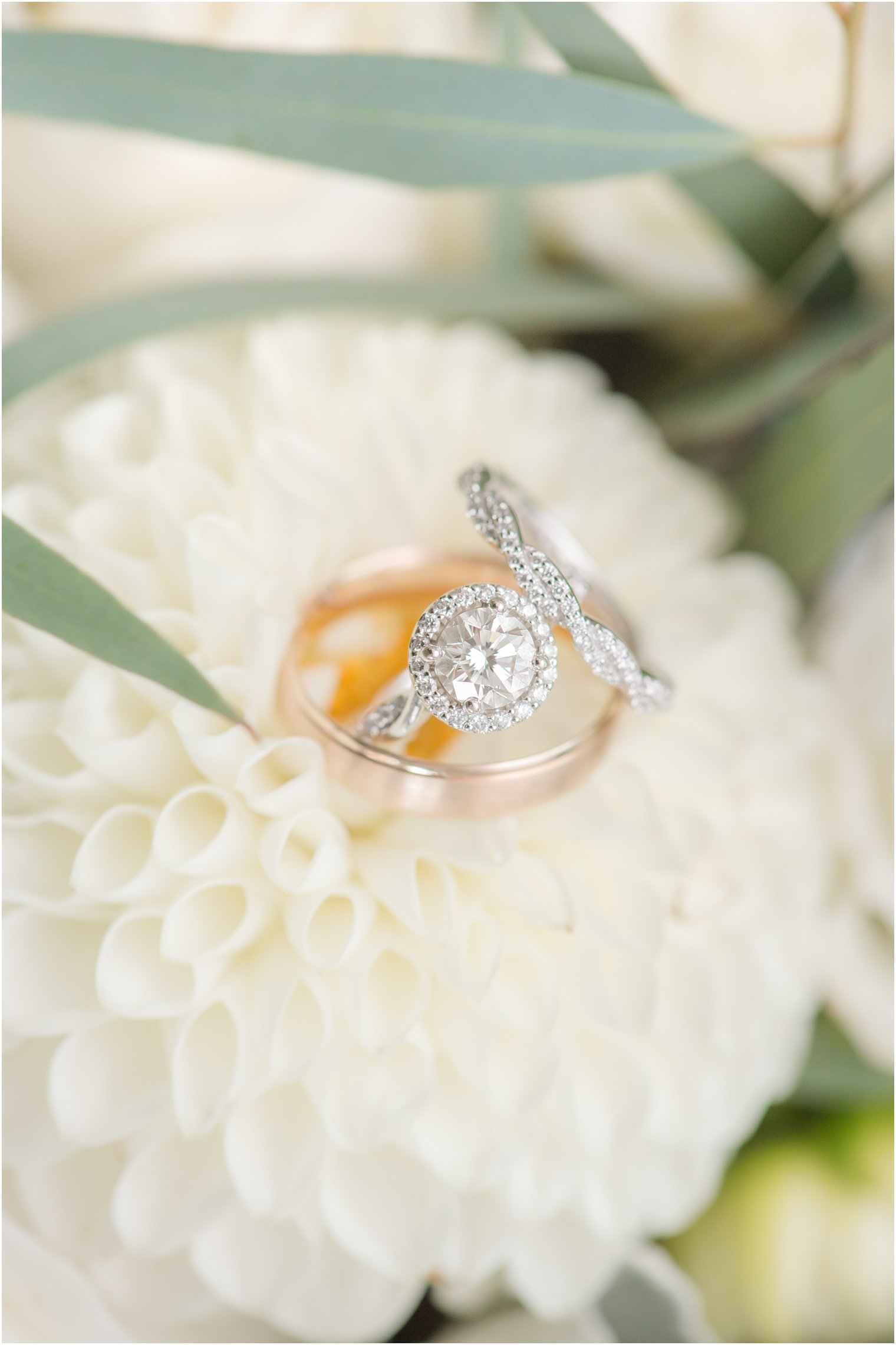 wedding bands rest on white flower in NJ