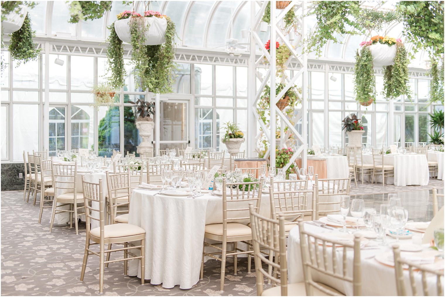 reception space with gold chivari chairs and hanging plants at The Madison Hotel