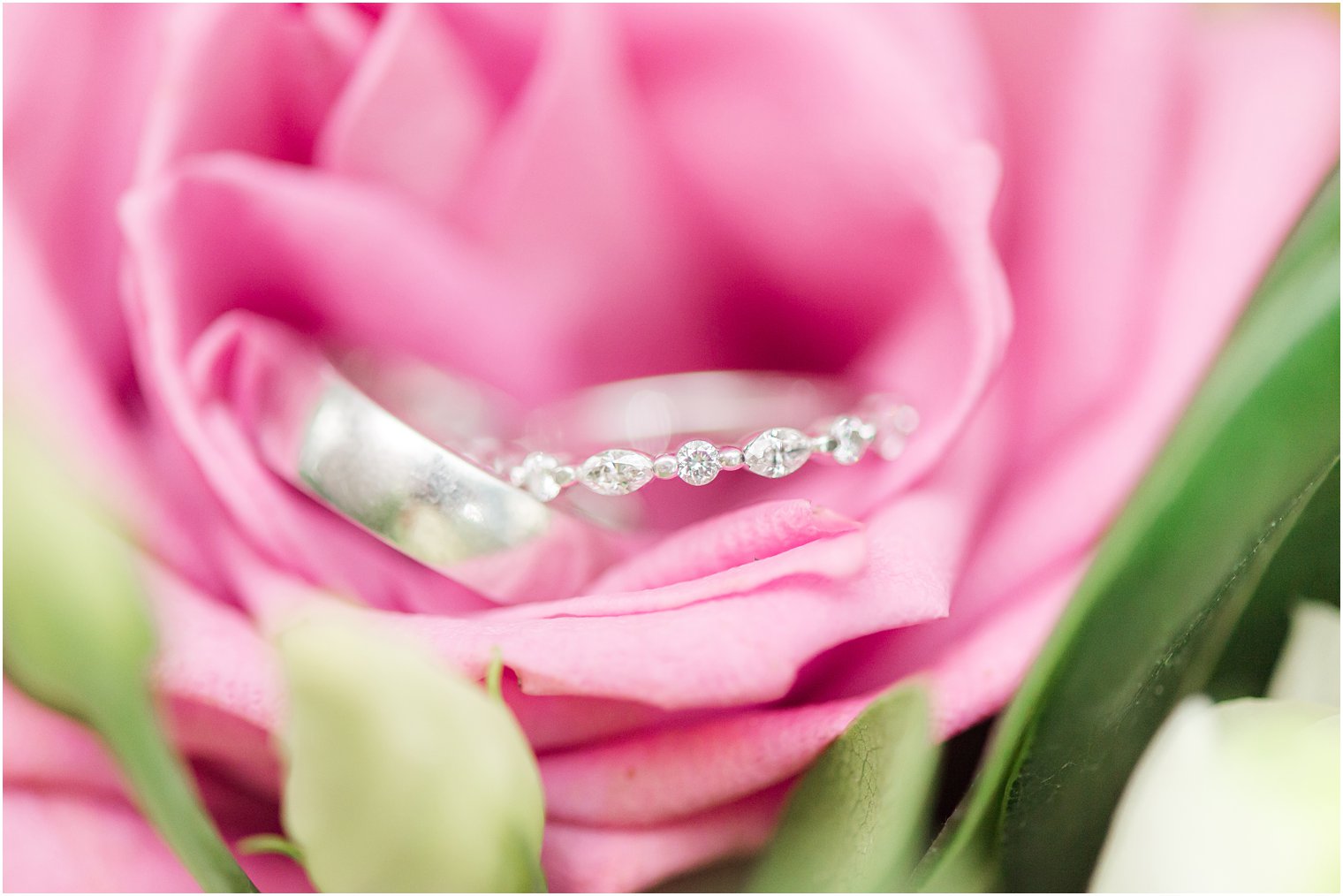 bride's wedding band rests in pink rose 