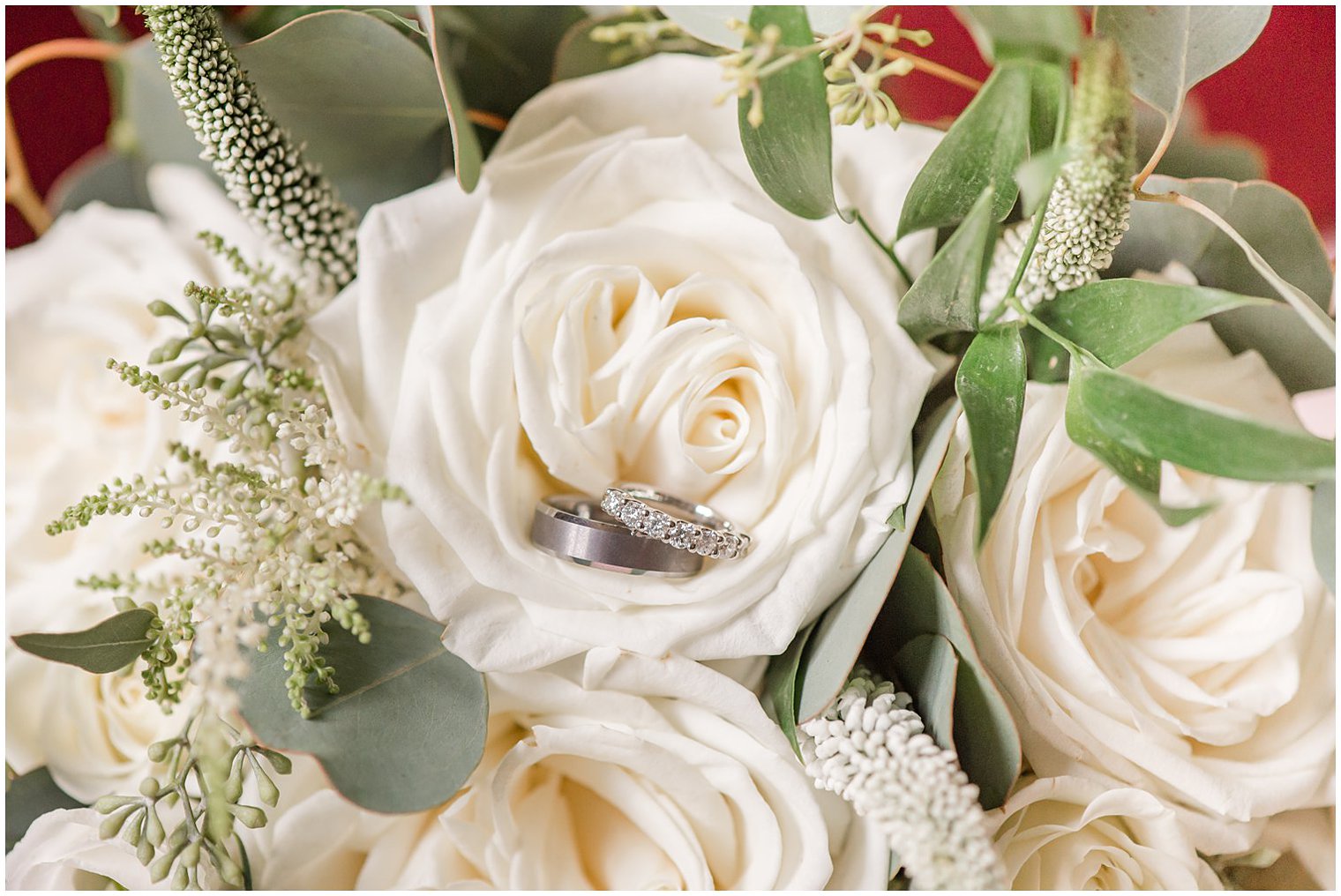 wedding bands lay in white rose