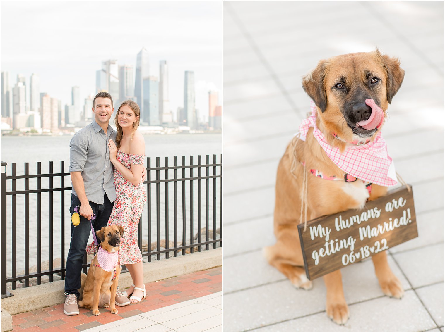 bride and groom pose with dog during waterfront portriats in New Jersey 