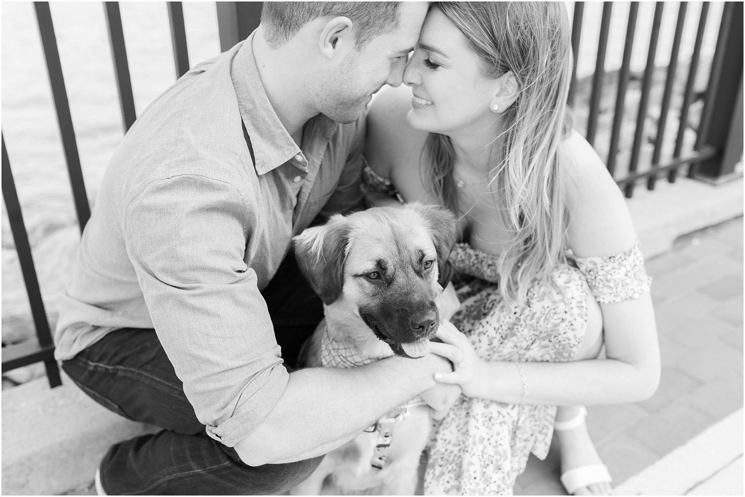 bride and groom pose with noses touching while hugging dog 