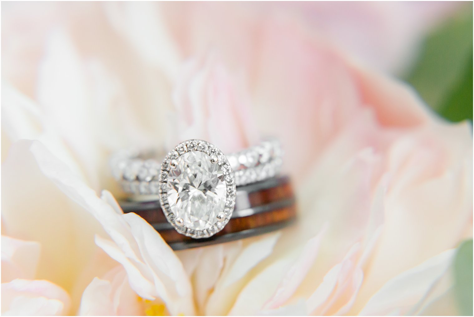 oval diamond ring for Philadelphia bride rests on pink flower petals 
