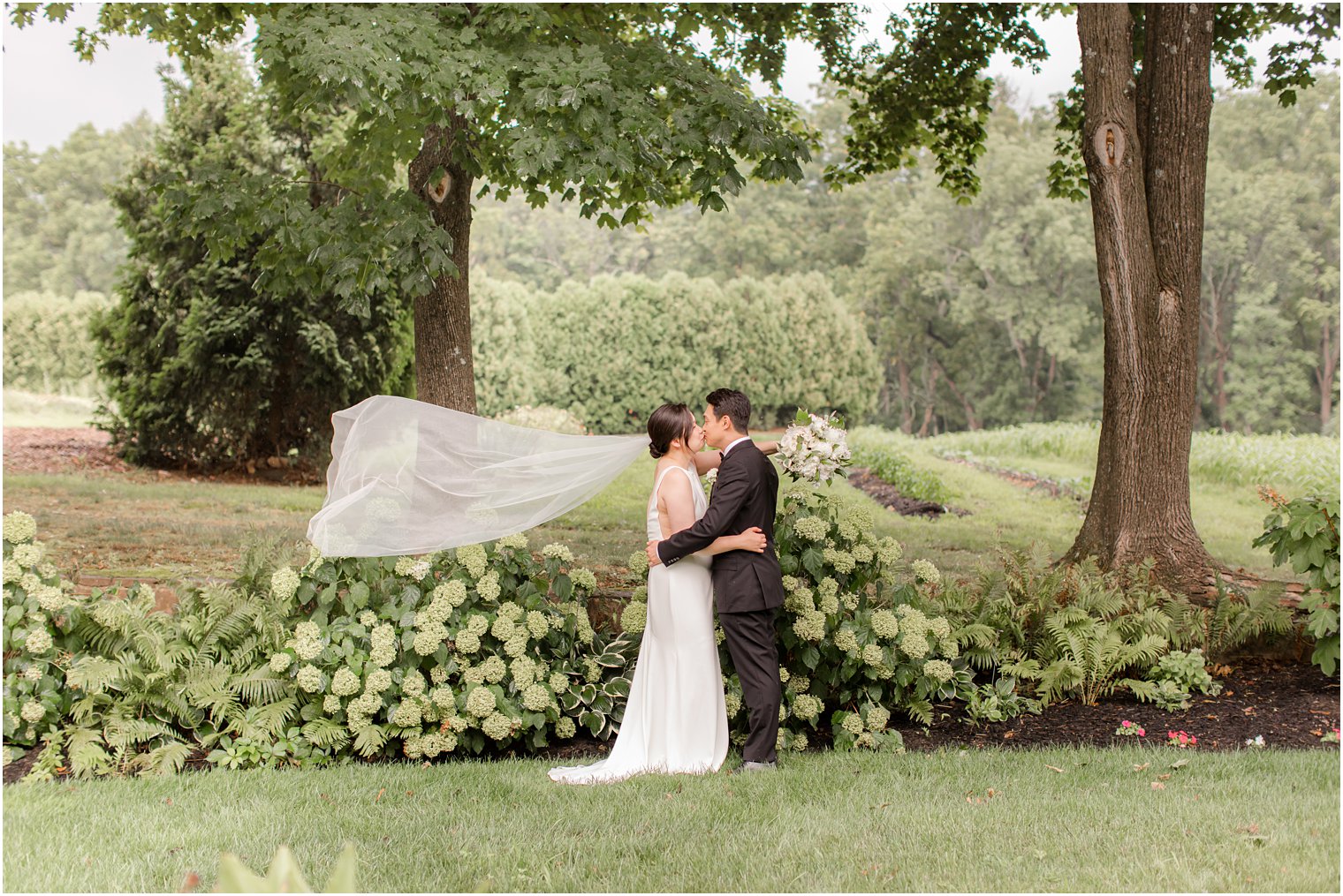 newlyweds kiss with bride's veil floating behind them by hydrangea bush at Ninety Acres