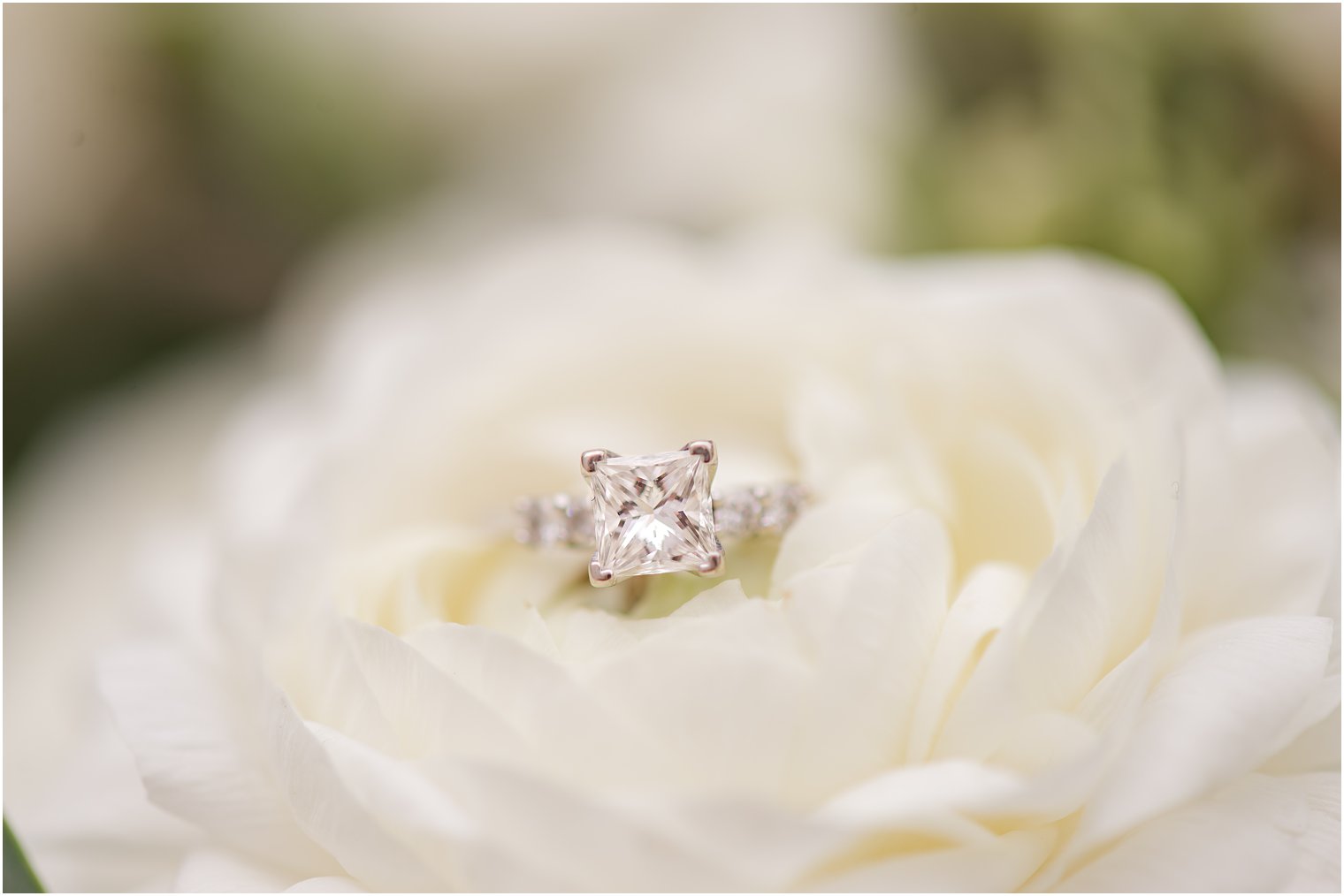 diamond ring rests on ivory flower