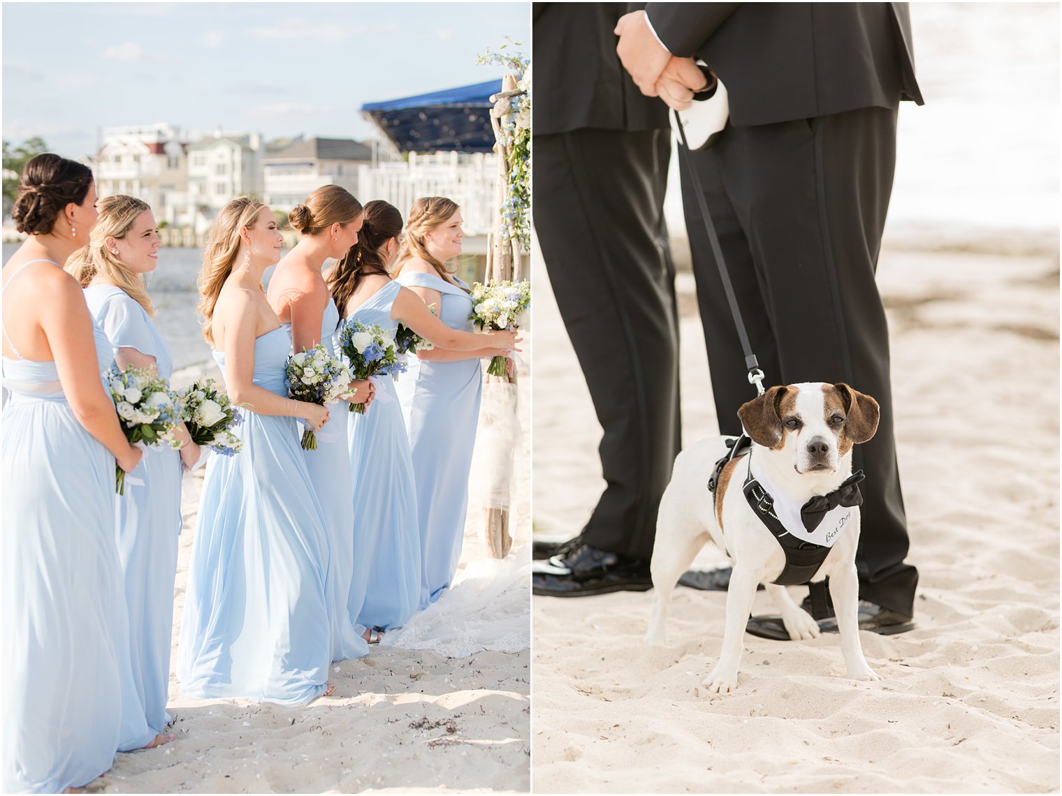 dog in tux poses with bridesmaids during waterfront beach ceremony in New Jersey 