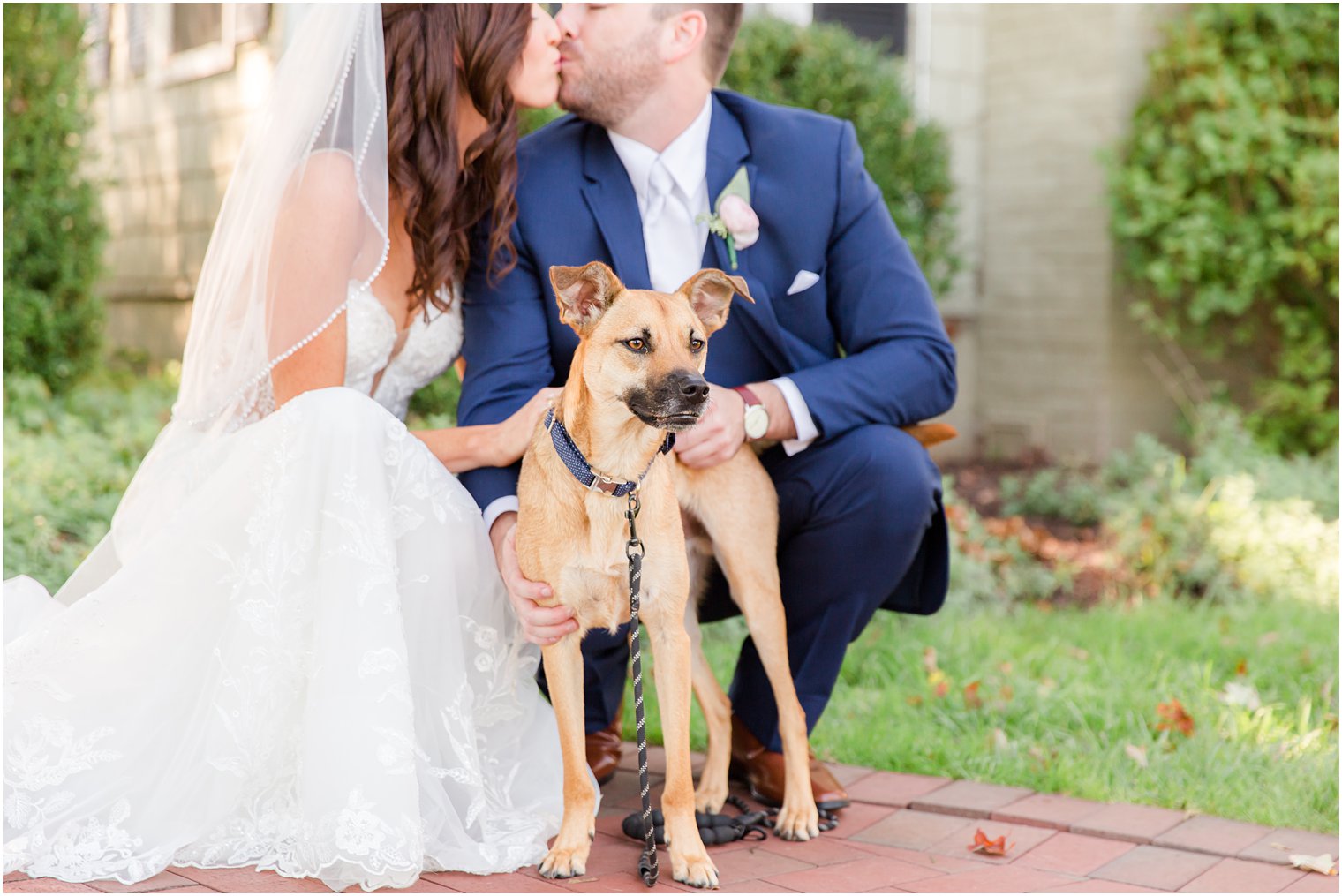 newlyweds kiss while holding dog on wedding day