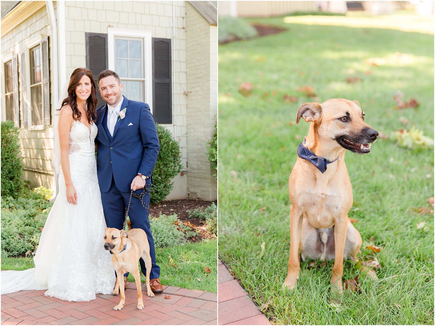 bride and groom stand with dog in bowtie at the Chauncey Hotel
