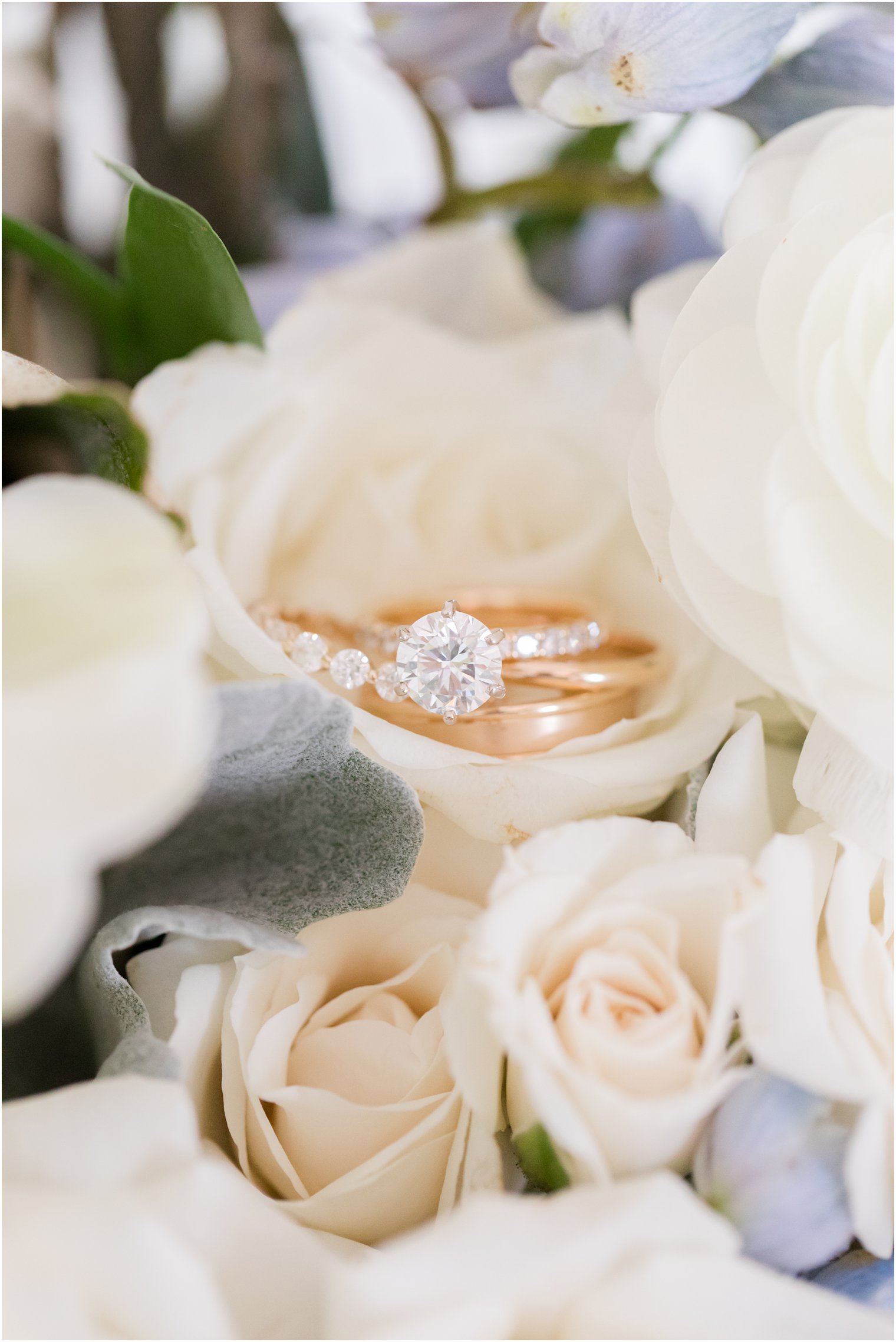 gold wedding rings rest on white roses