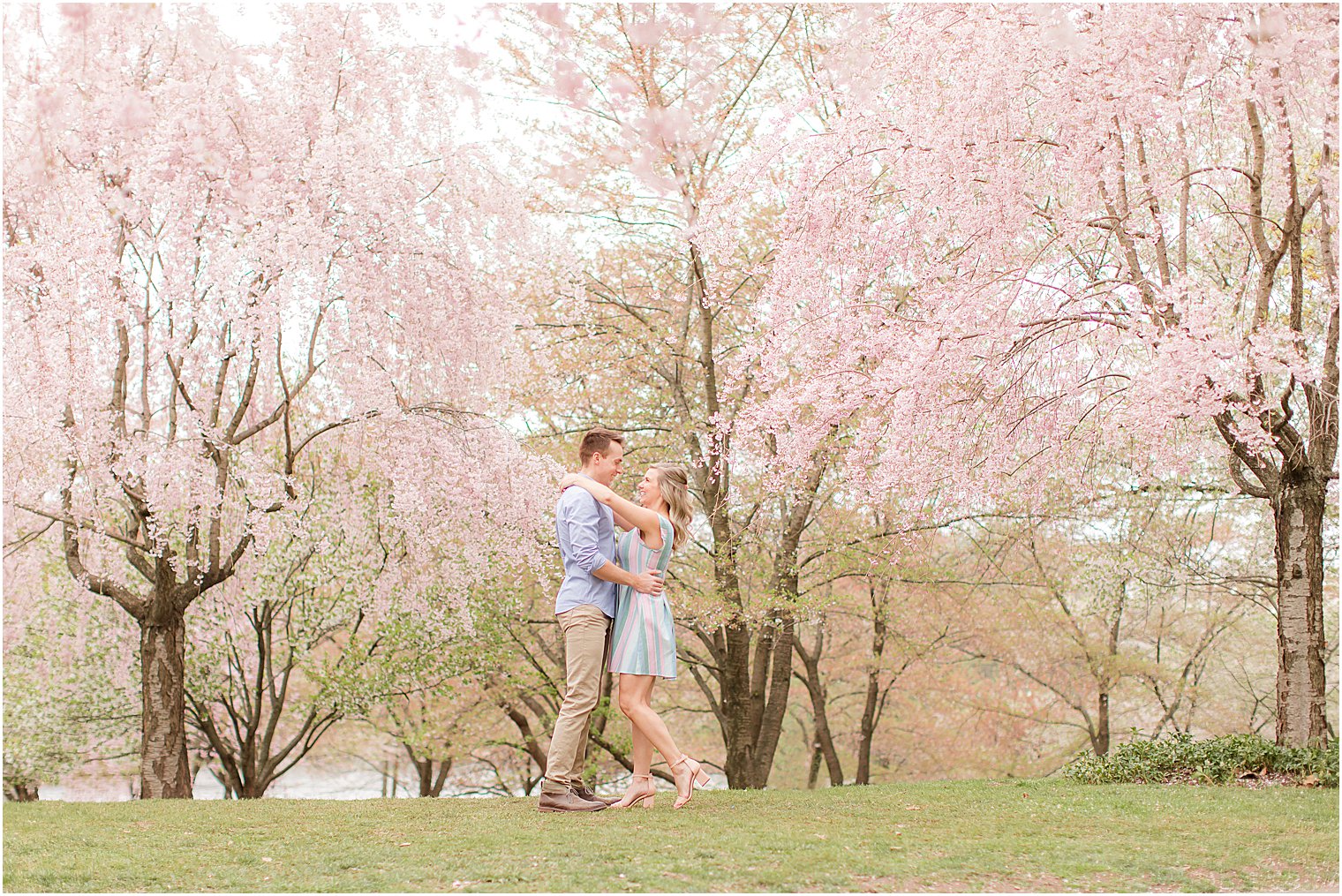 couple kisses by cherry blossom trees in Branch Brook Park engagement session in the spring