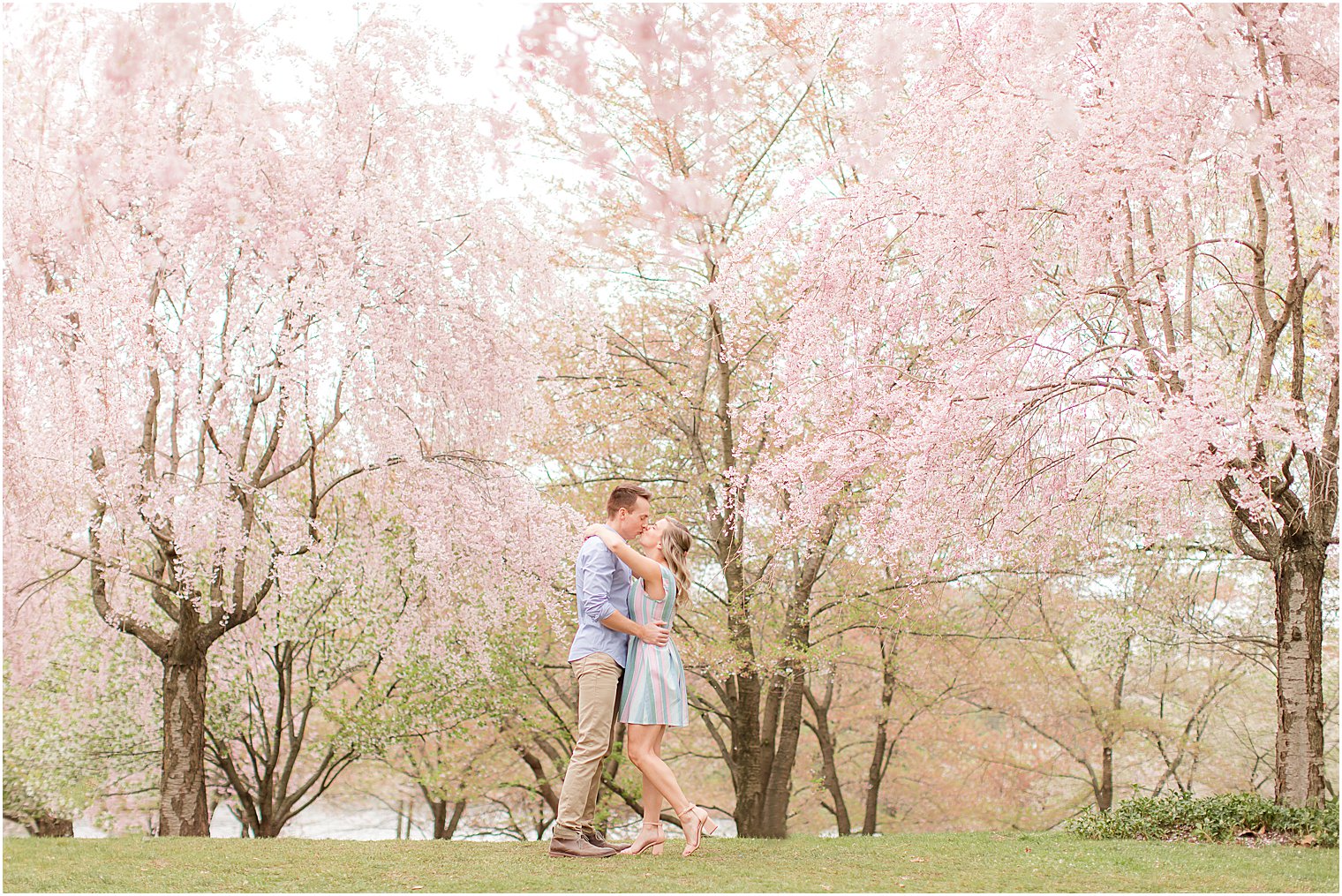 engaged couple kisses under tree during NJ engagement session