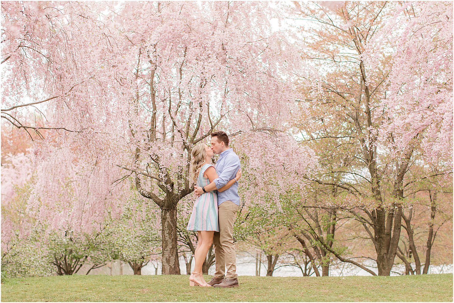 bride and groom kiss by pink cherry blossom trees at Branch Brook Park