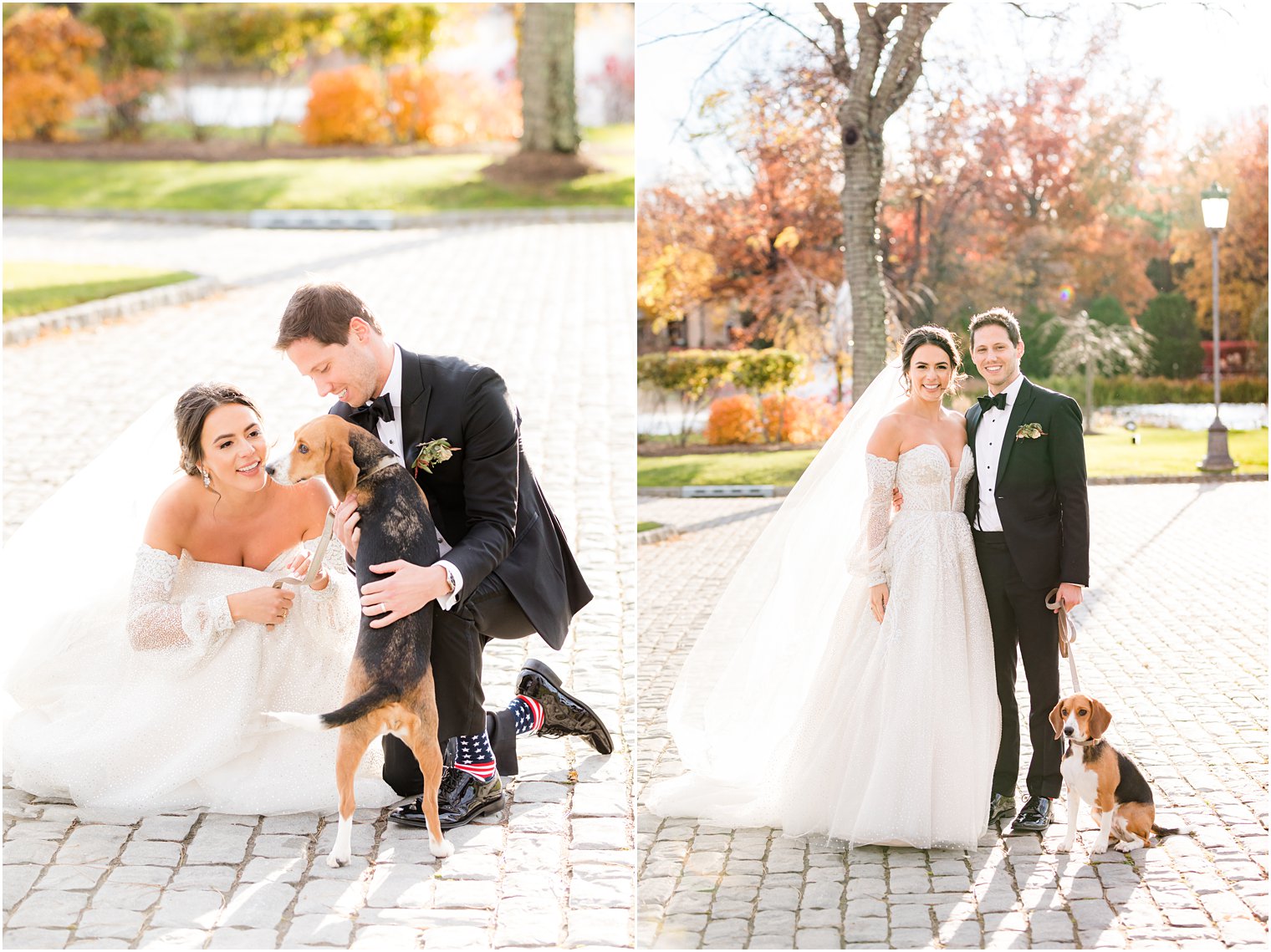 bride and groom pose with two dogs in driveway at Park Chateau Estate