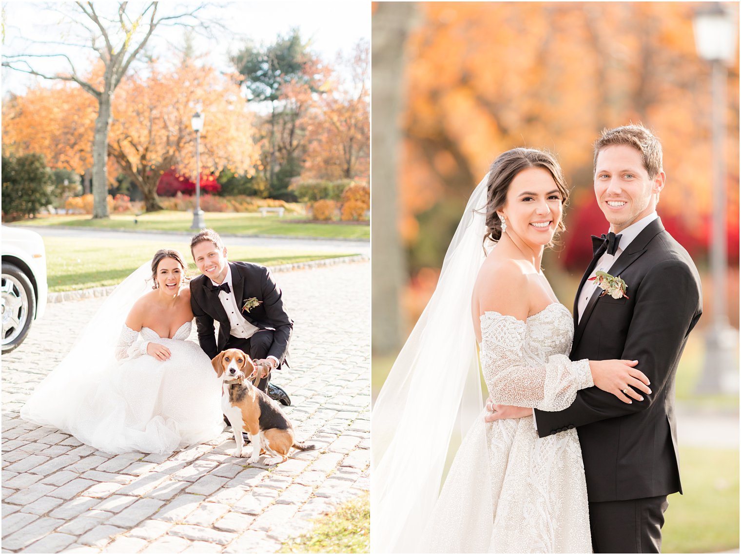 fall wedding portraits of bride and groom with dog at Park Chateau Estate