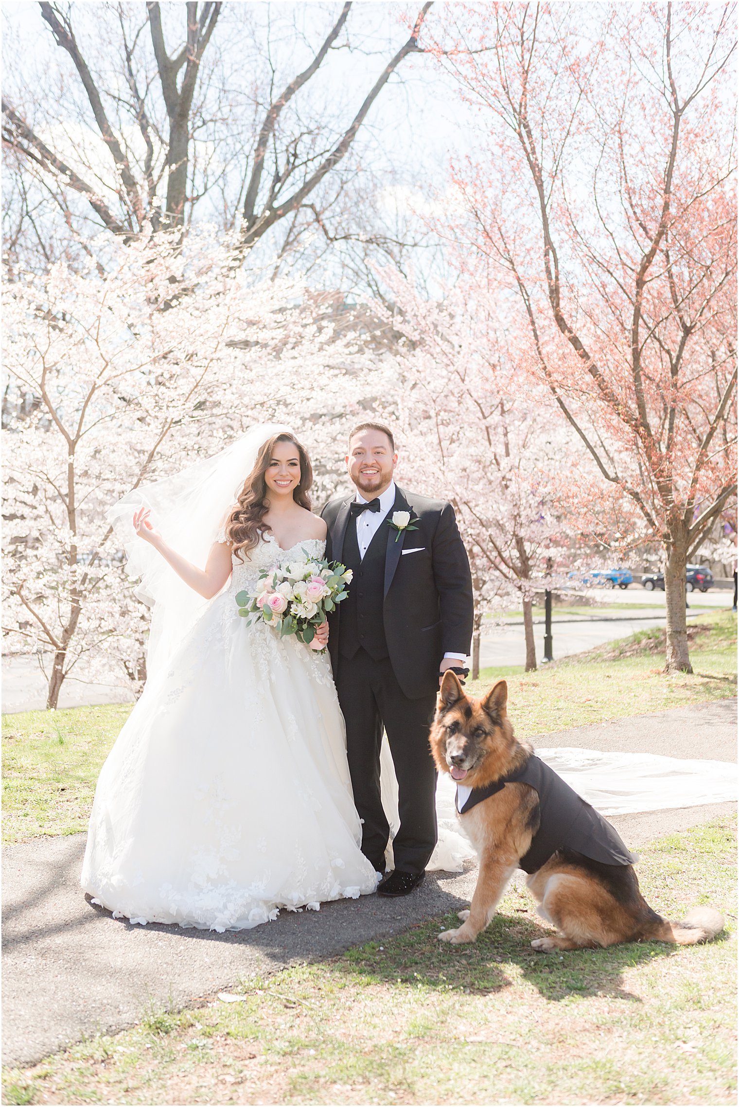 couple poses under cherry blossoms with German Shepard dog