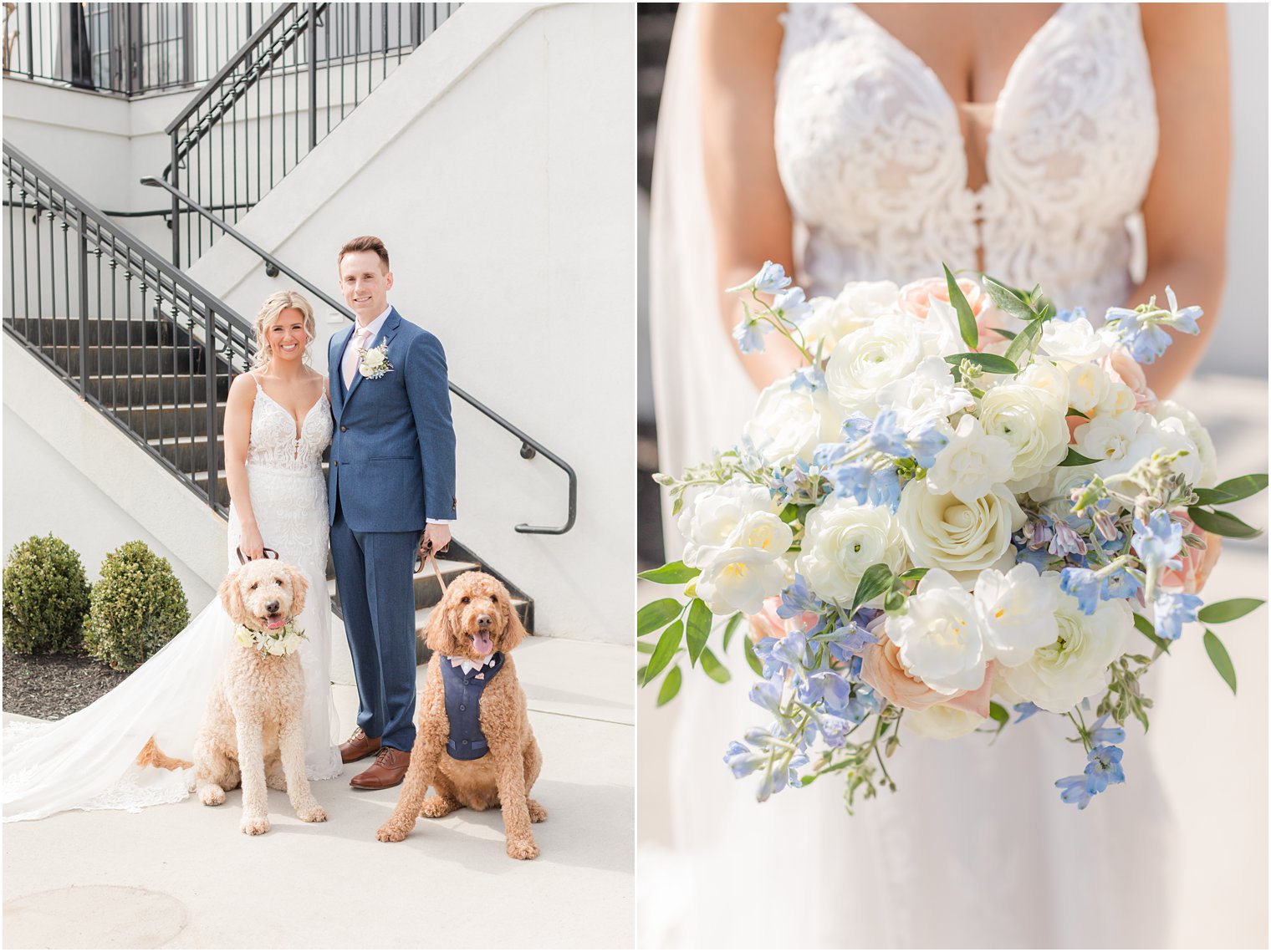 bride and groom with dogs at Renault Winery in Egg Harbor Township, NJ