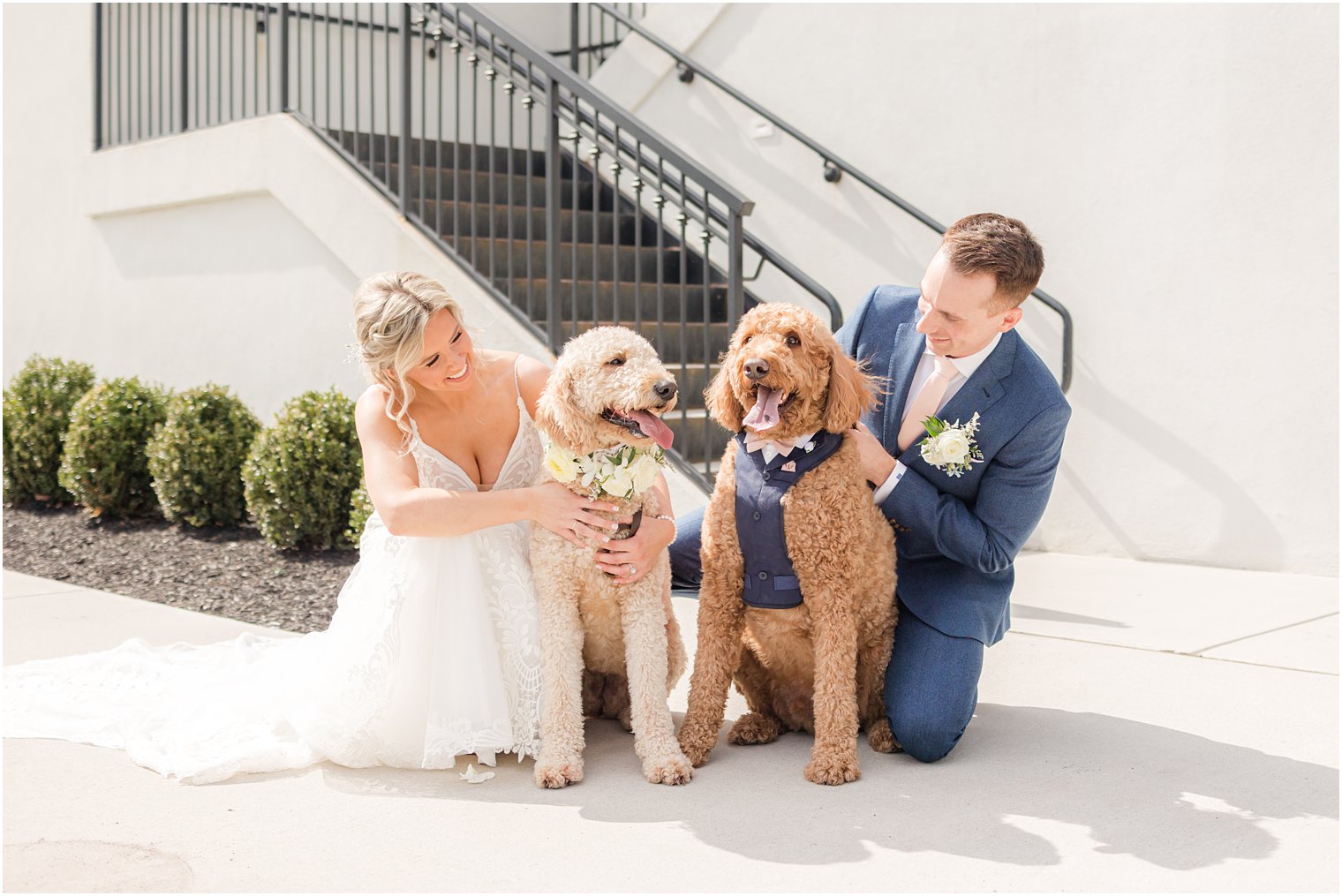 bride and groom smiling at dogs at Renault Winery in Egg Harbor Township, NJ