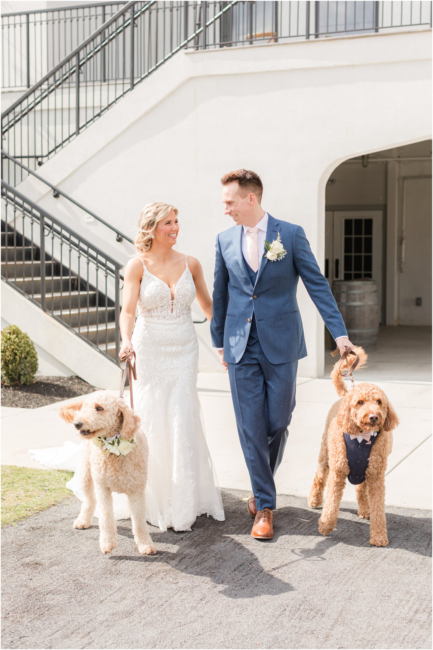 bride and groom walking with dogs at Renault Winery in Egg Harbor Township, NJ