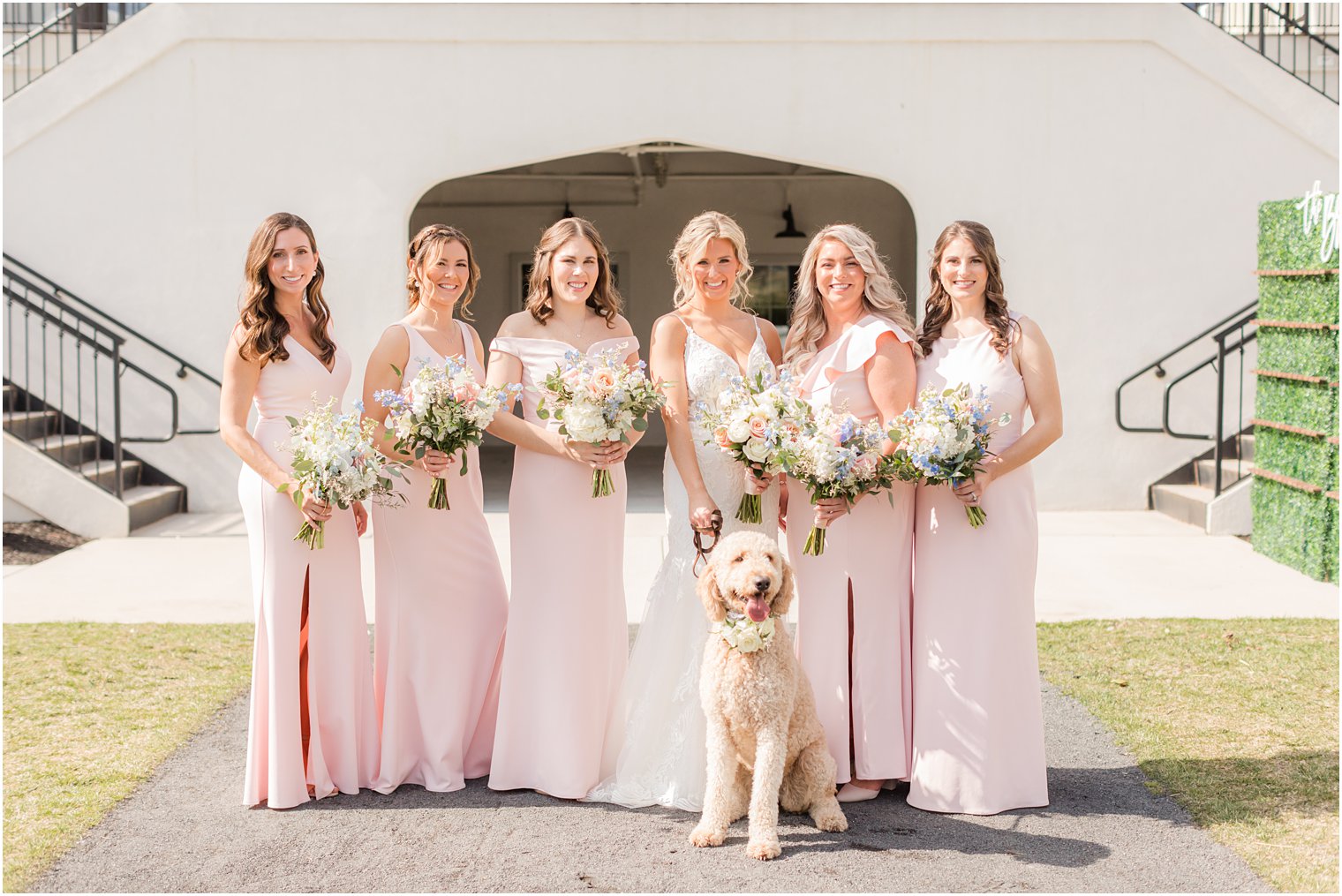 bride and bridesmaids with dog at Renault Winery in Egg Harbor Township, NJ