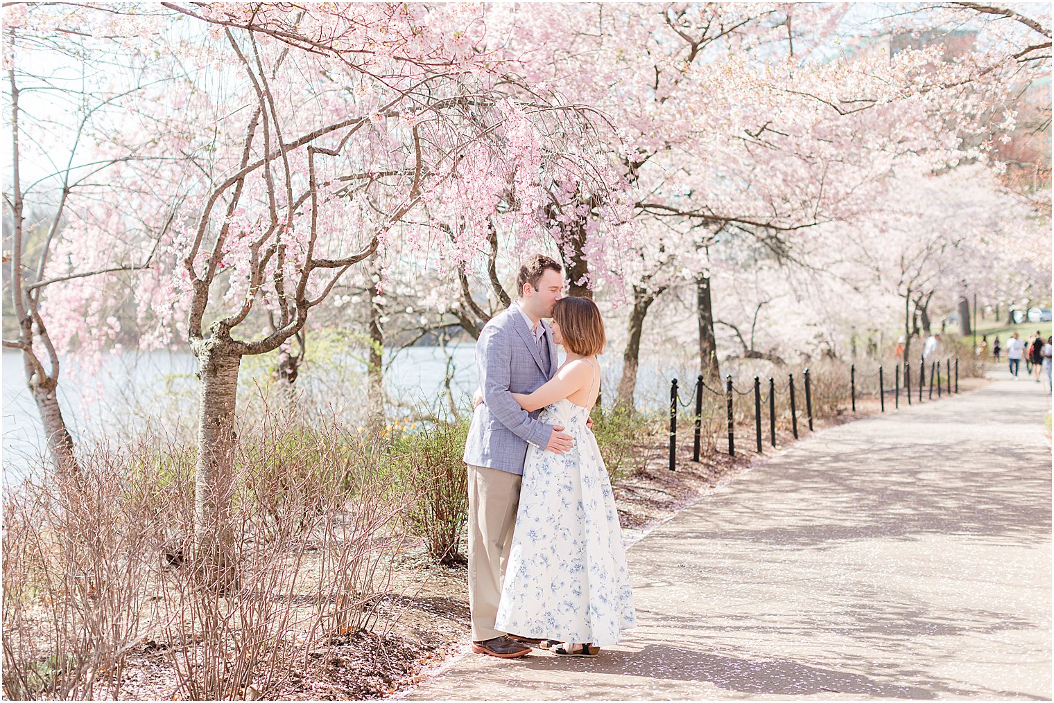 couple hugs under cherry blossom trees