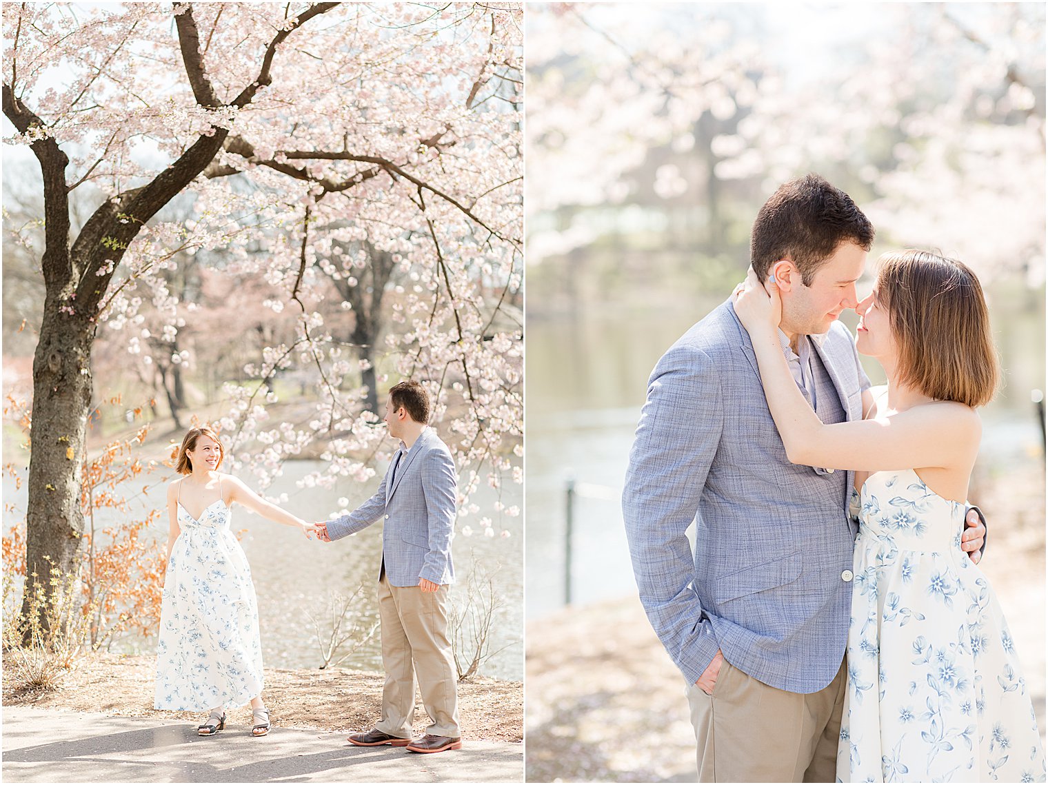 engaged couple poses under cherry blossom trees in Branch Brook Park