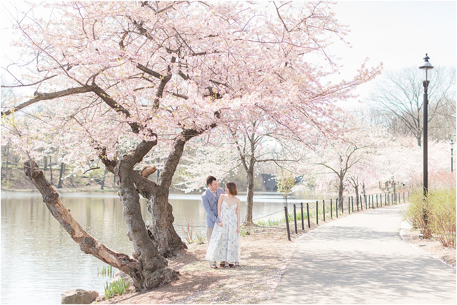 spring engagement session at Branch Brook Park under cherry blossoms