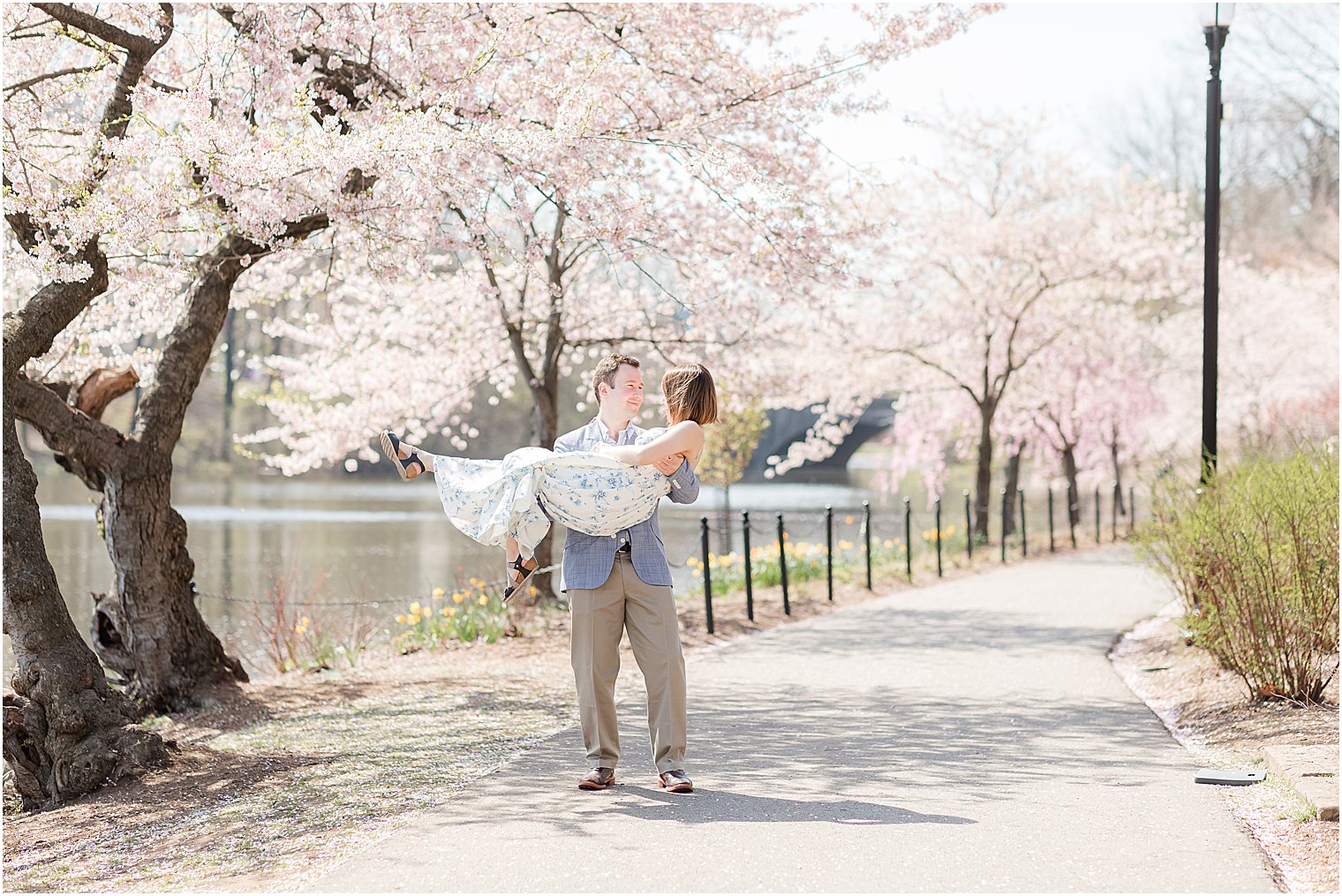 groom lifts bride up during cherry blossom engagement session at Branch Brook Park