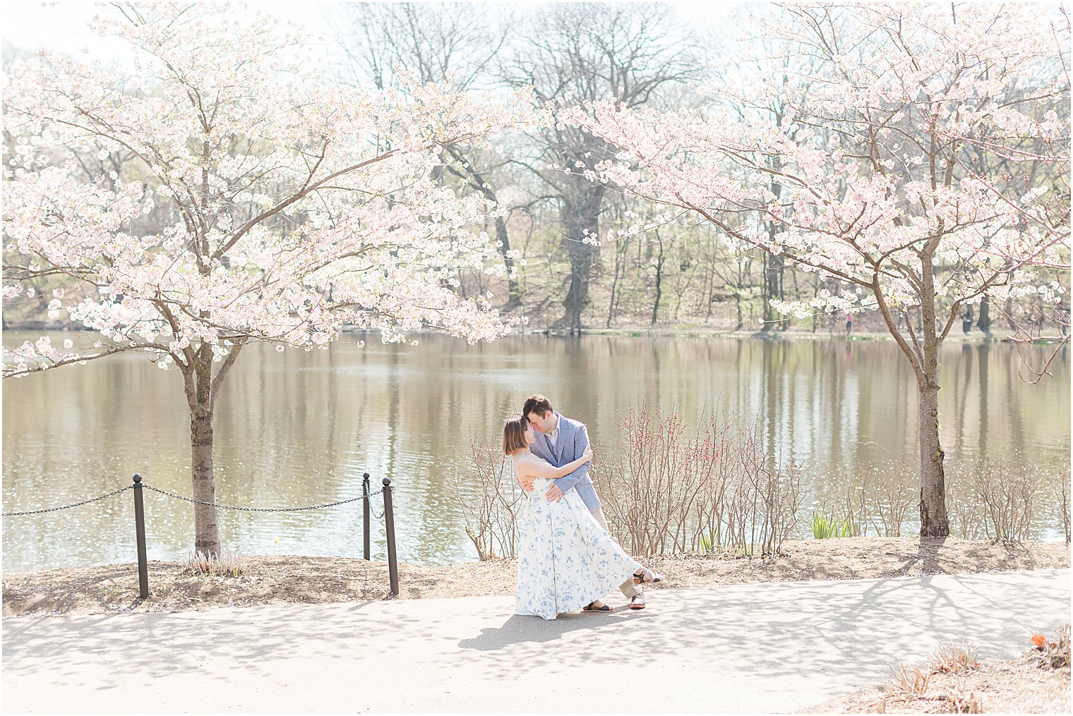 man dips fiancee during cherry blossom portraits at Branch Brook Park