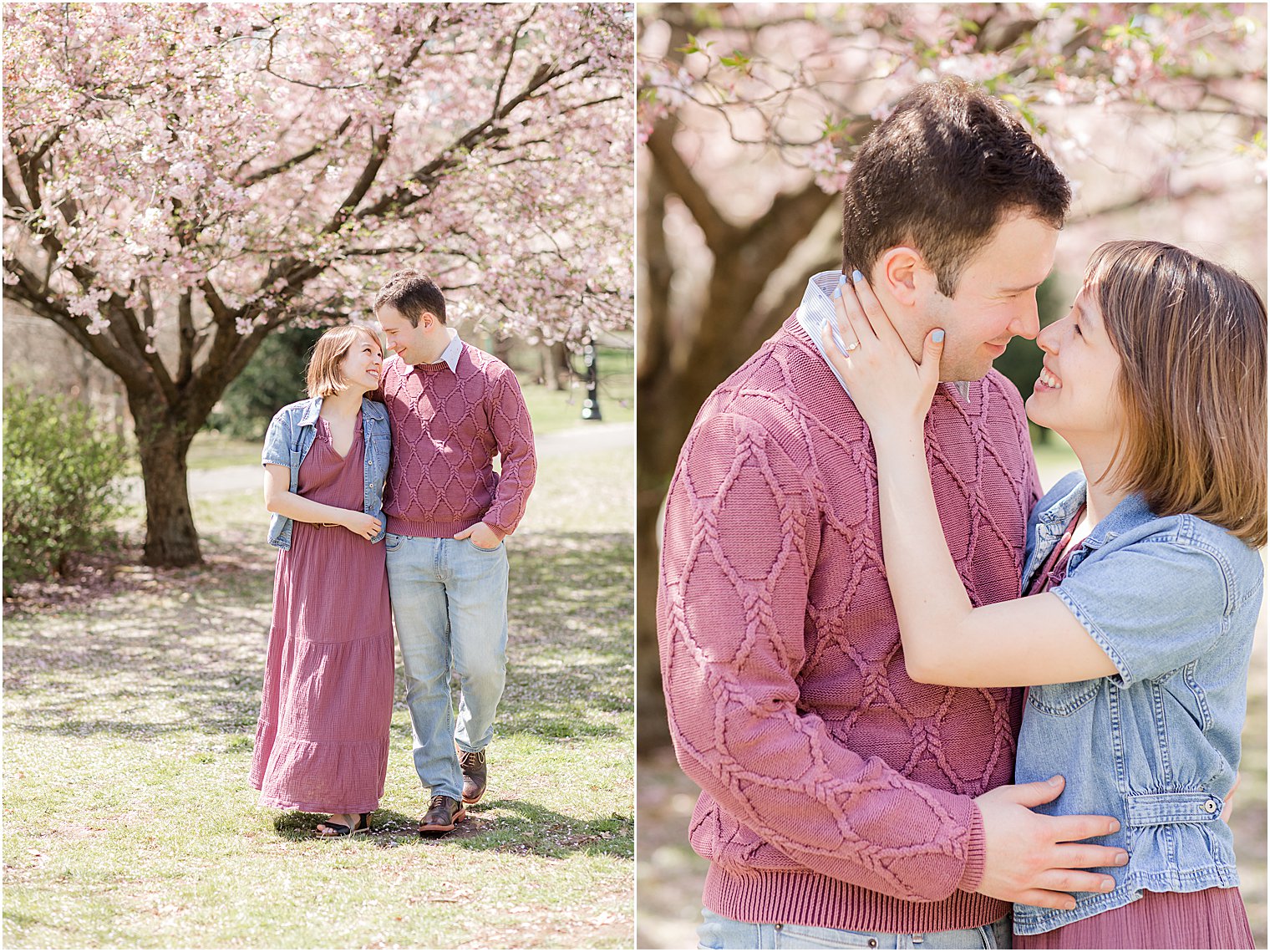 couple hugs under cherry blossoms in New Jersey