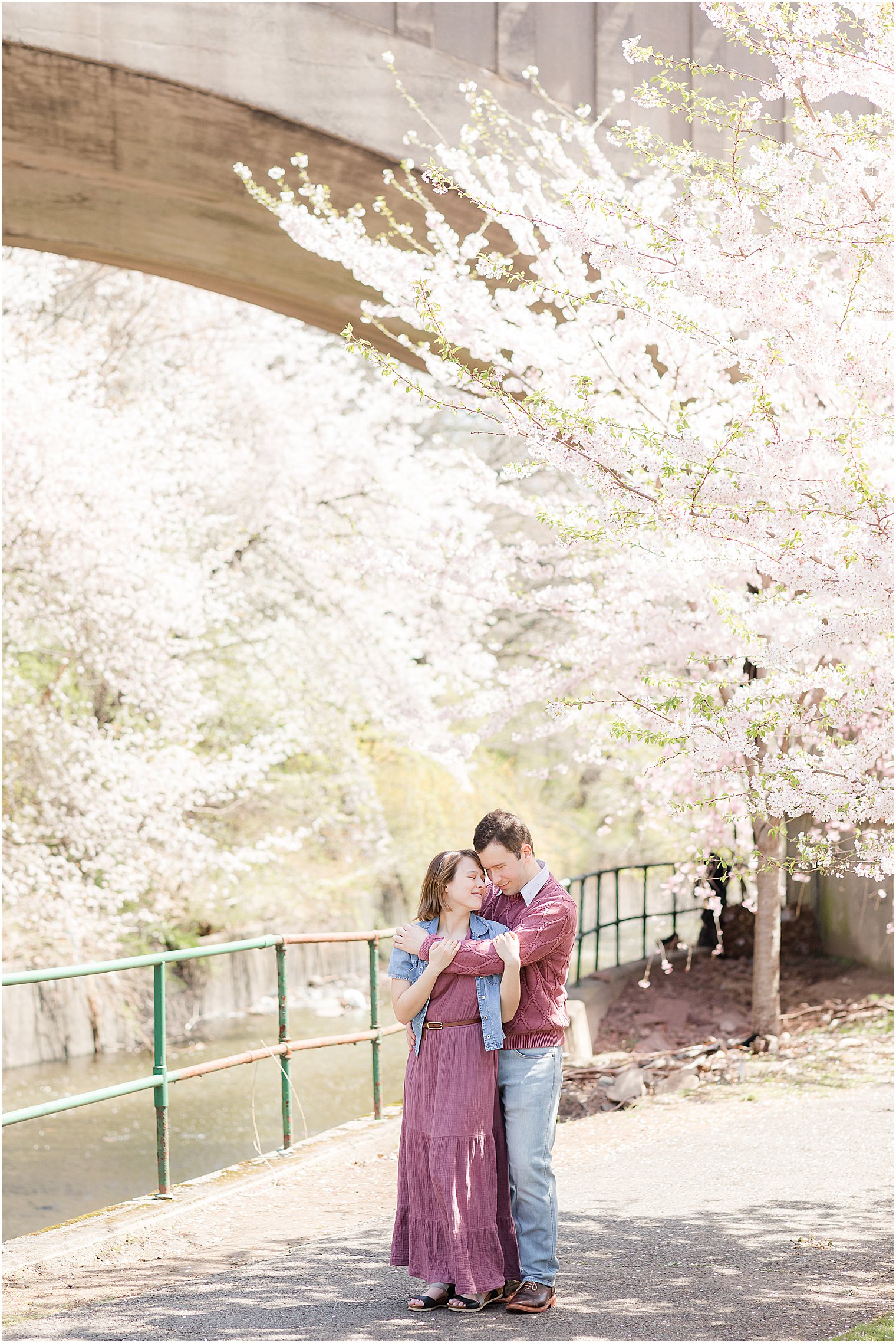couple hugs under bridge in Branch Brook Park by cherry blossom tree