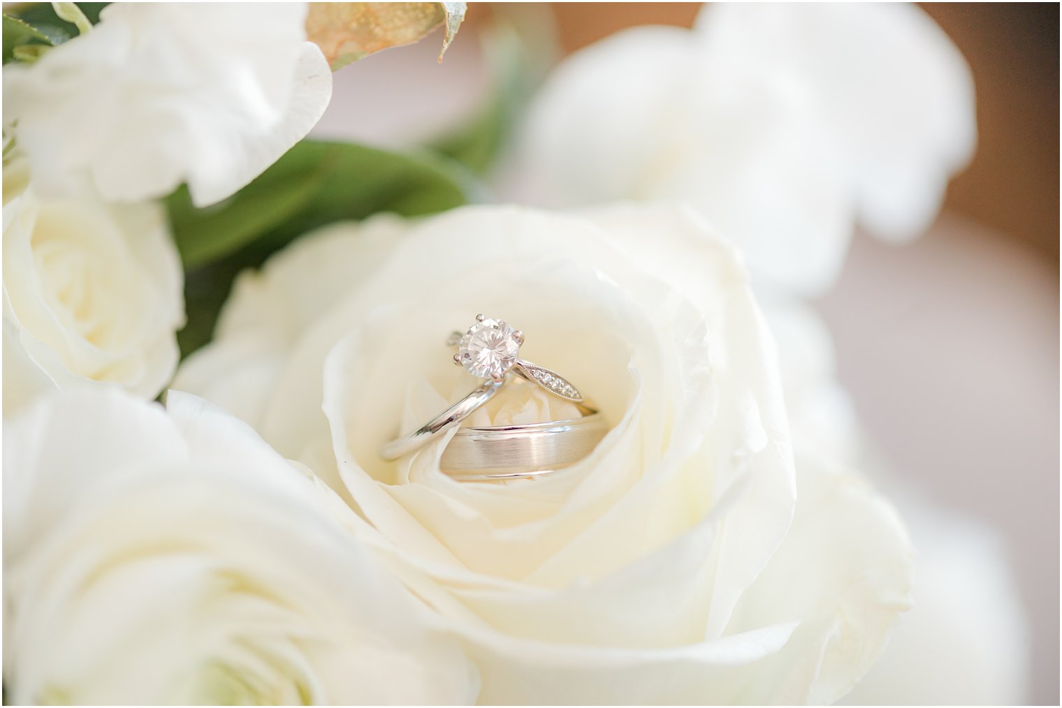 wedding ring rests in ivory rose