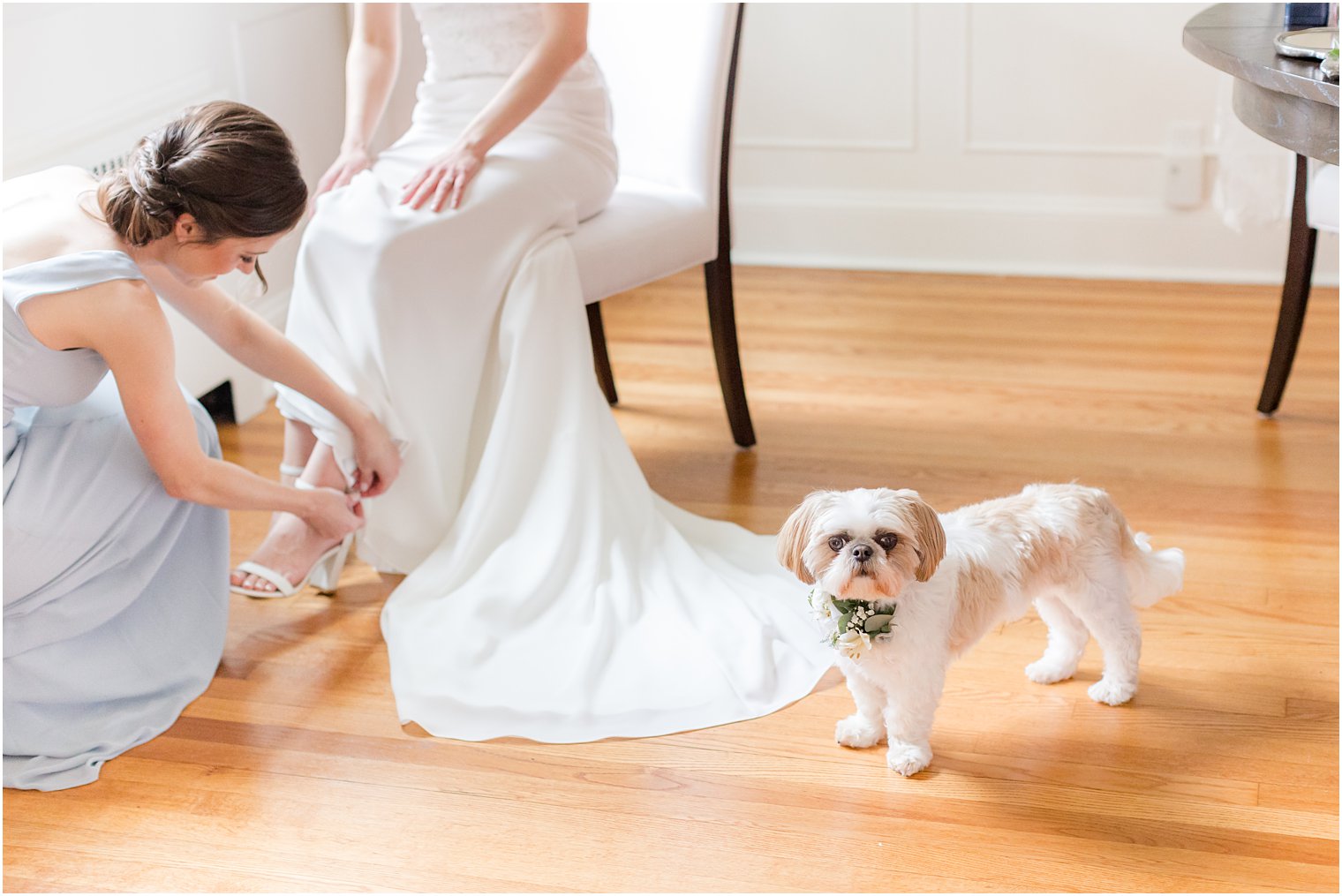 puppy sits by bride as bridesmaid helps with shoes