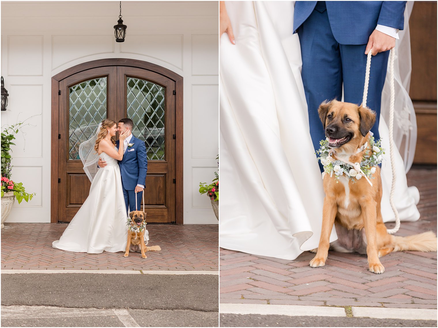 bride and groom pose with dog in floral collar