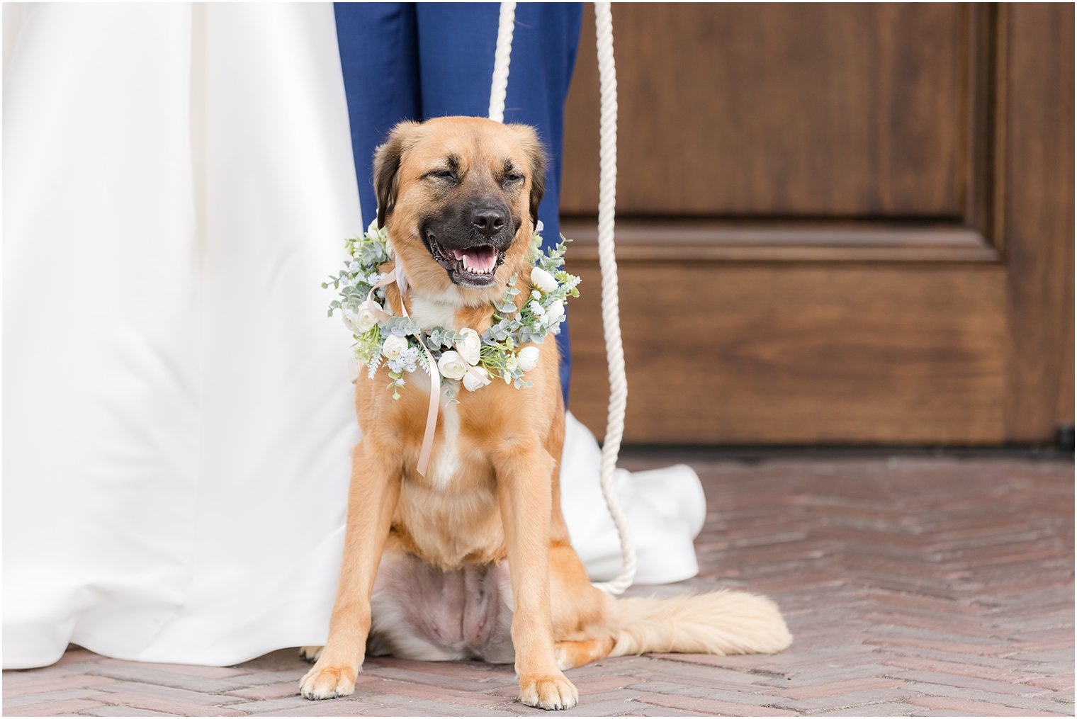 dog sits by bride wearing floral collar 