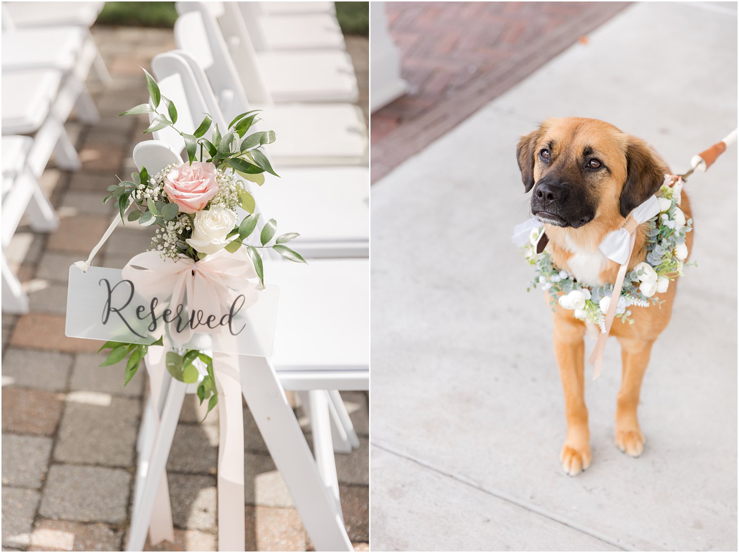 dog wears flower collar during wedding ceremony 