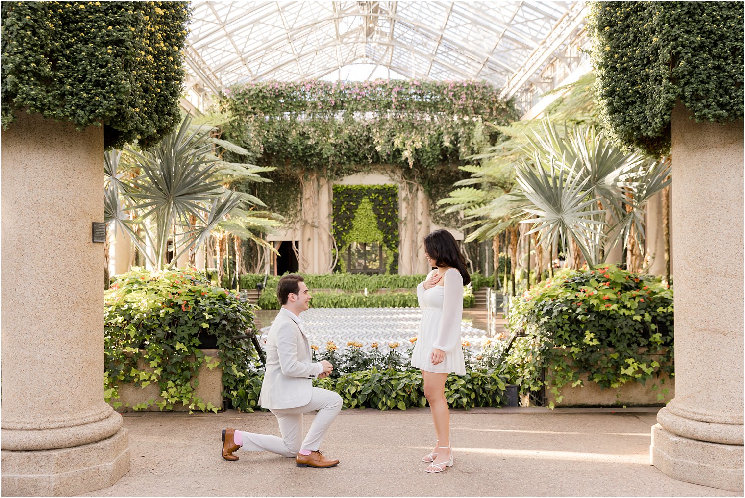 man kneels down to propose in Longwood Gardens