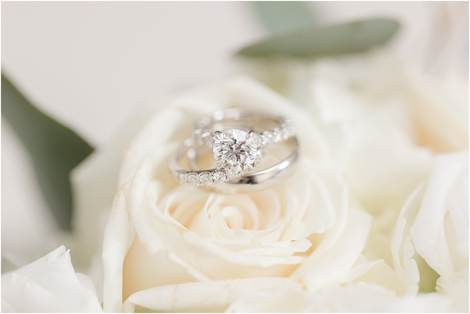 diamond ring rests in ivory rose 