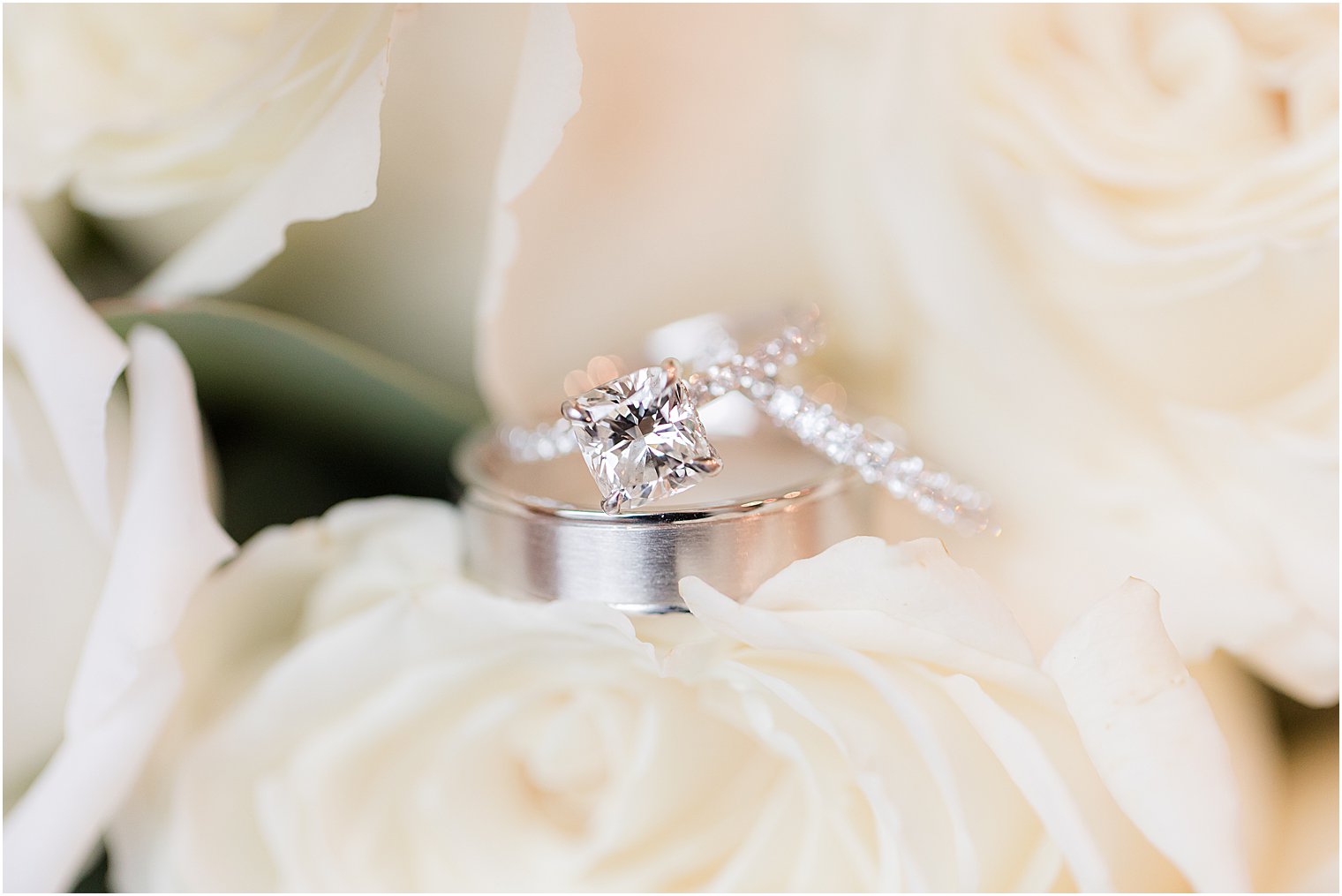 wedding rings lay in ivory flowers 