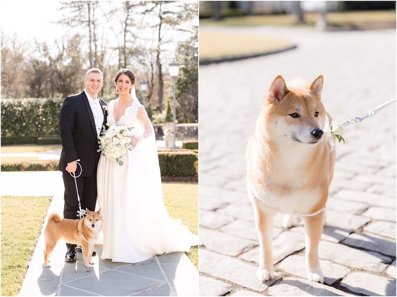 bride and groom pose with dog on sidewalk at Park Chateau Estate