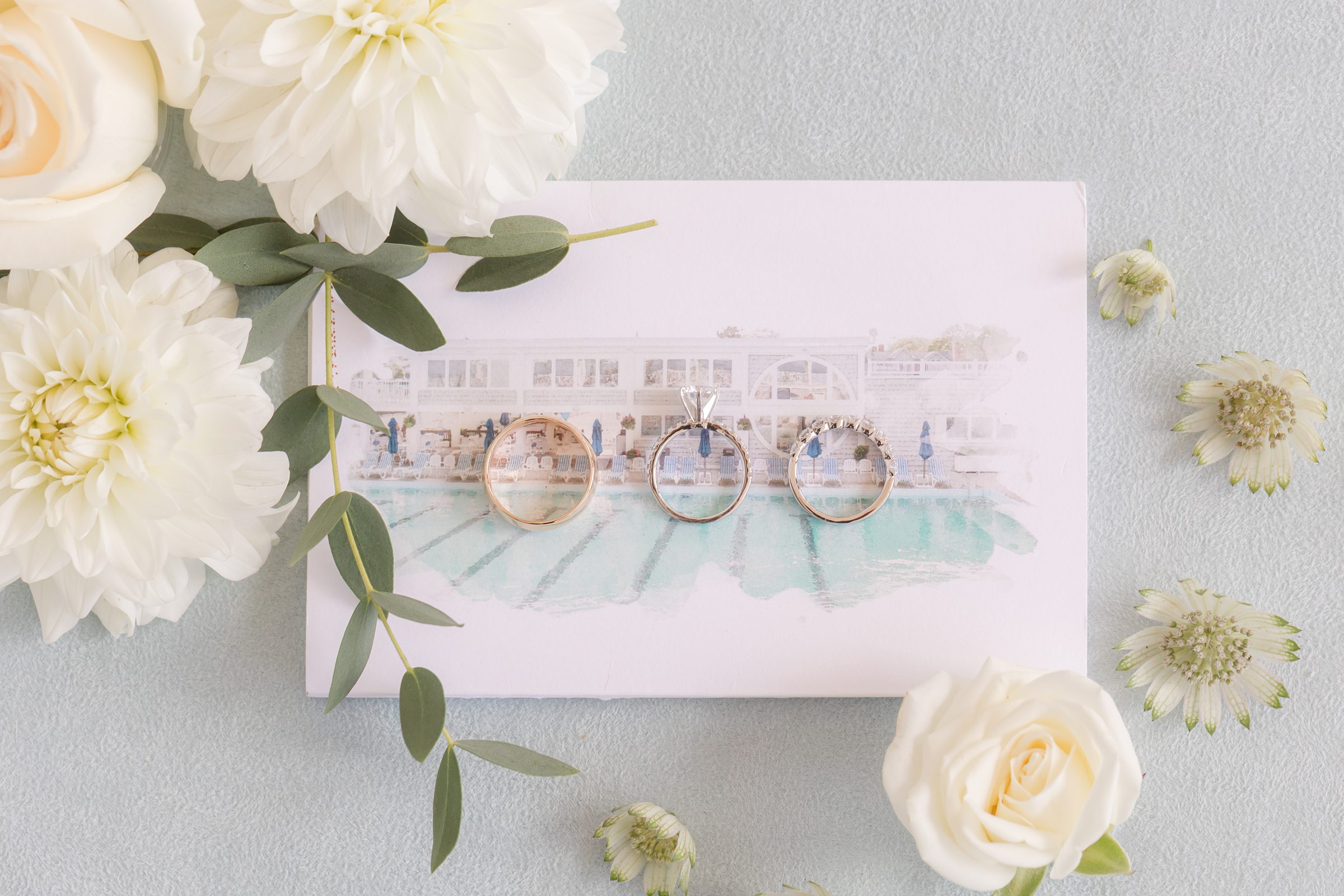 Three rings arranged on a watercolor-style card with white flowers and greenery around them.