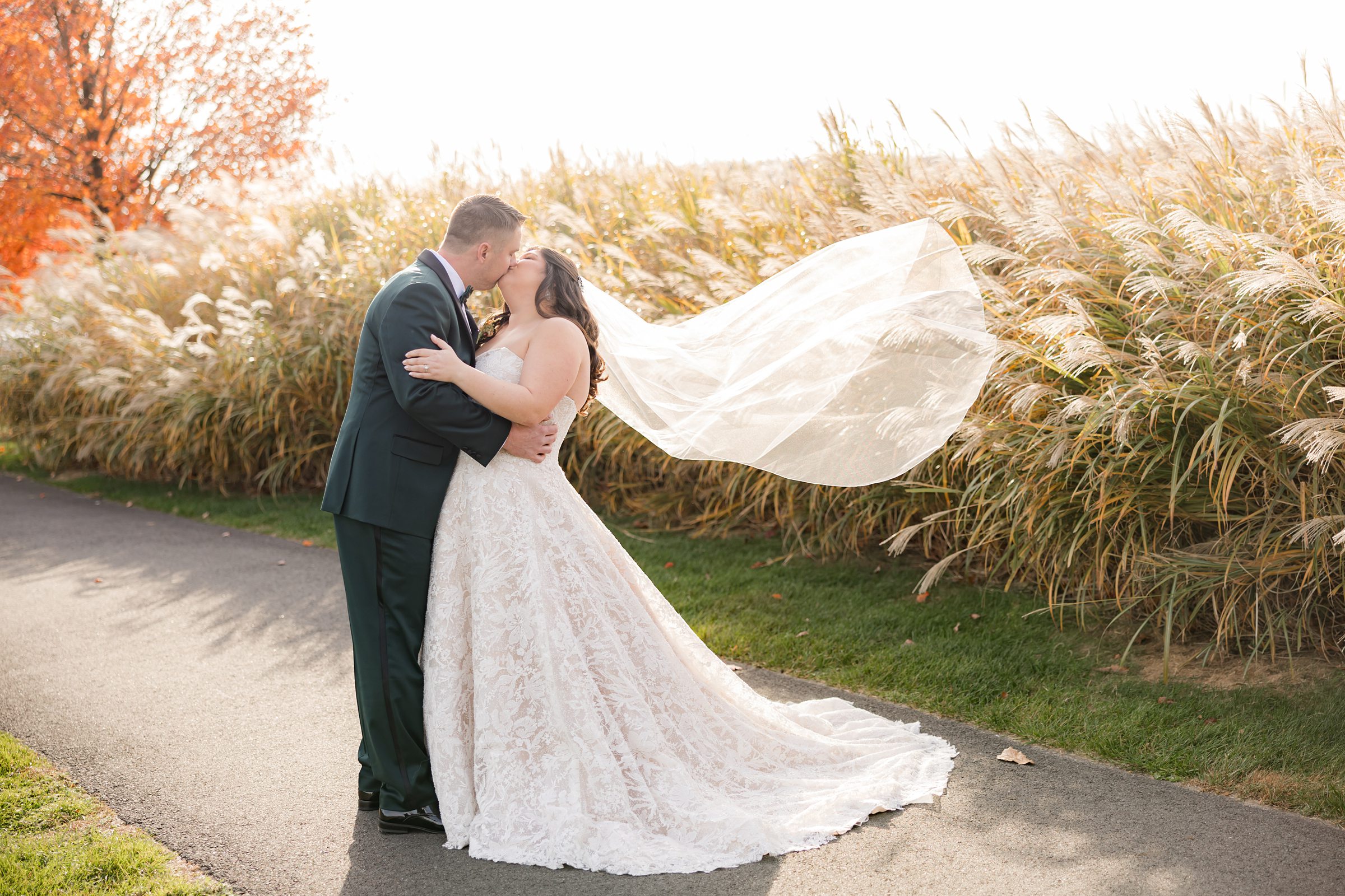 Bride and groom kissing on a path with tall grasses bride’s veil blowing in the wind