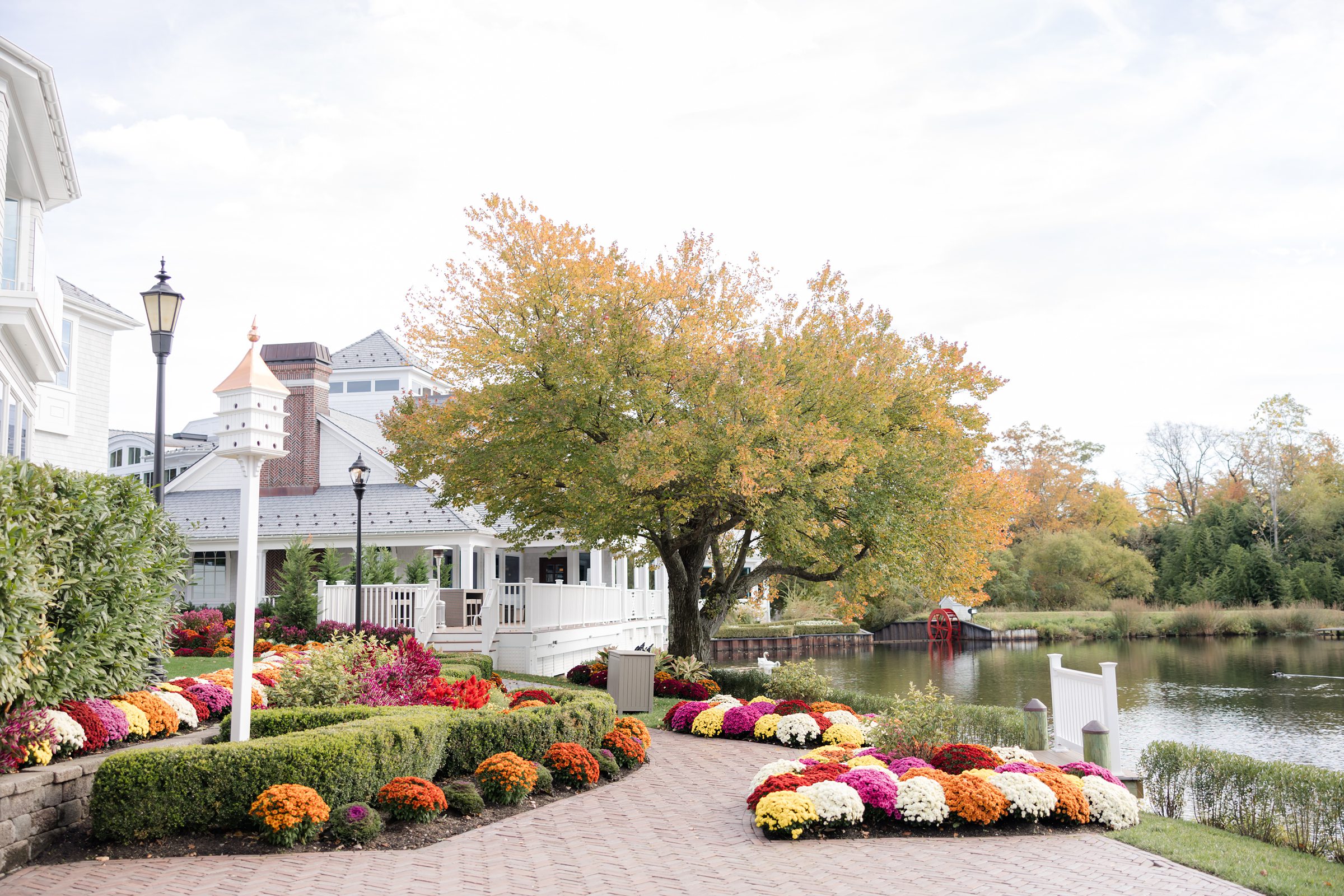 Scenic view of a lakeside venue with colorful autumn flowers, a large tree, and white buildings.