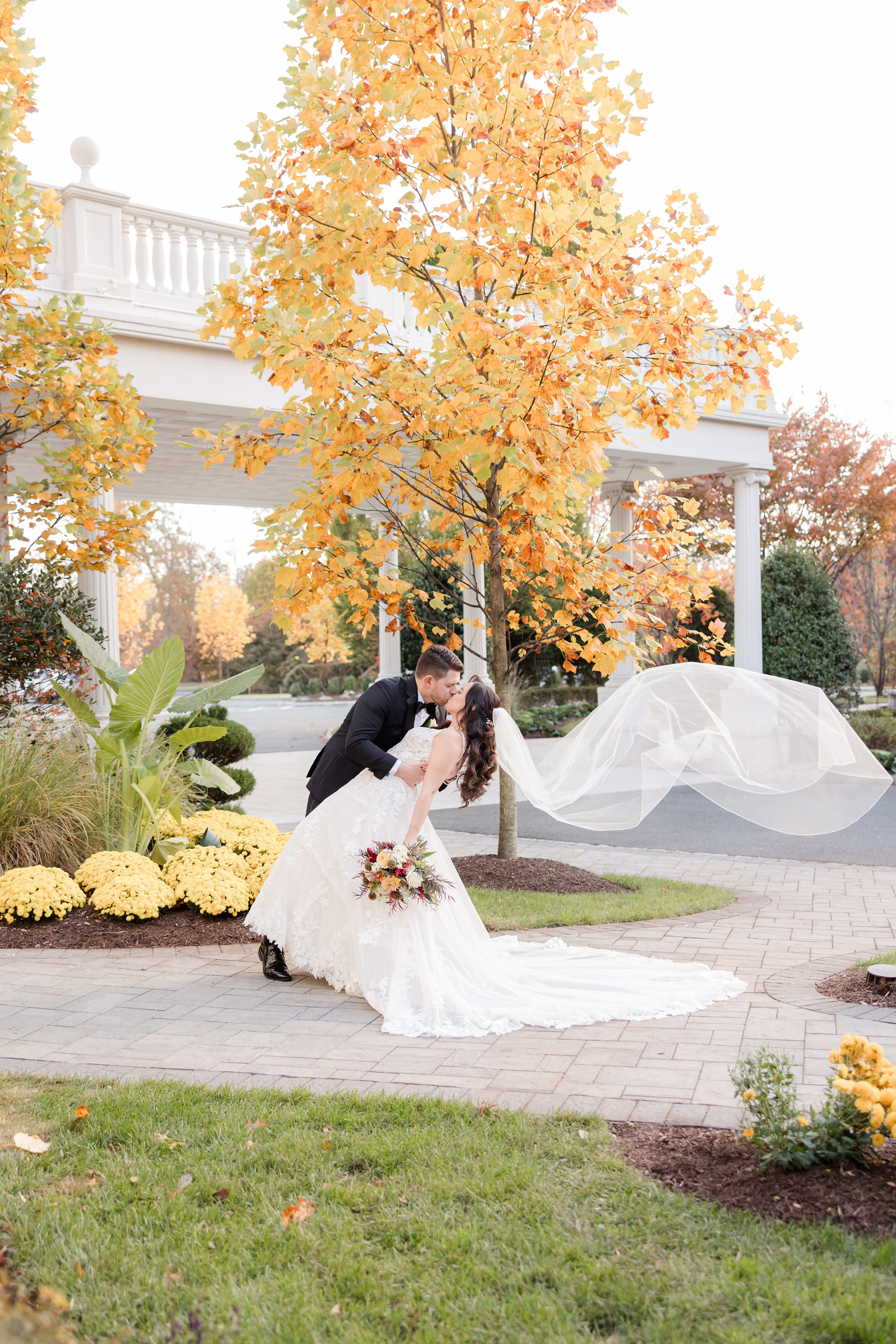 Romantic dip as the groom kisses the bride beneath a golden autumn tree, her veil flowing dramatically in the air.