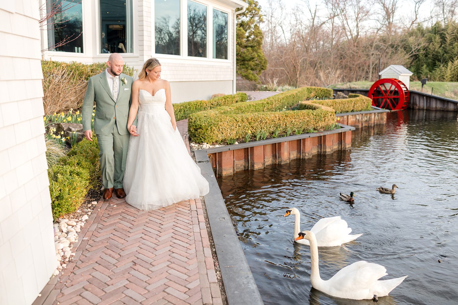Bride and groom standing near waterfront with swans during elegant wedding